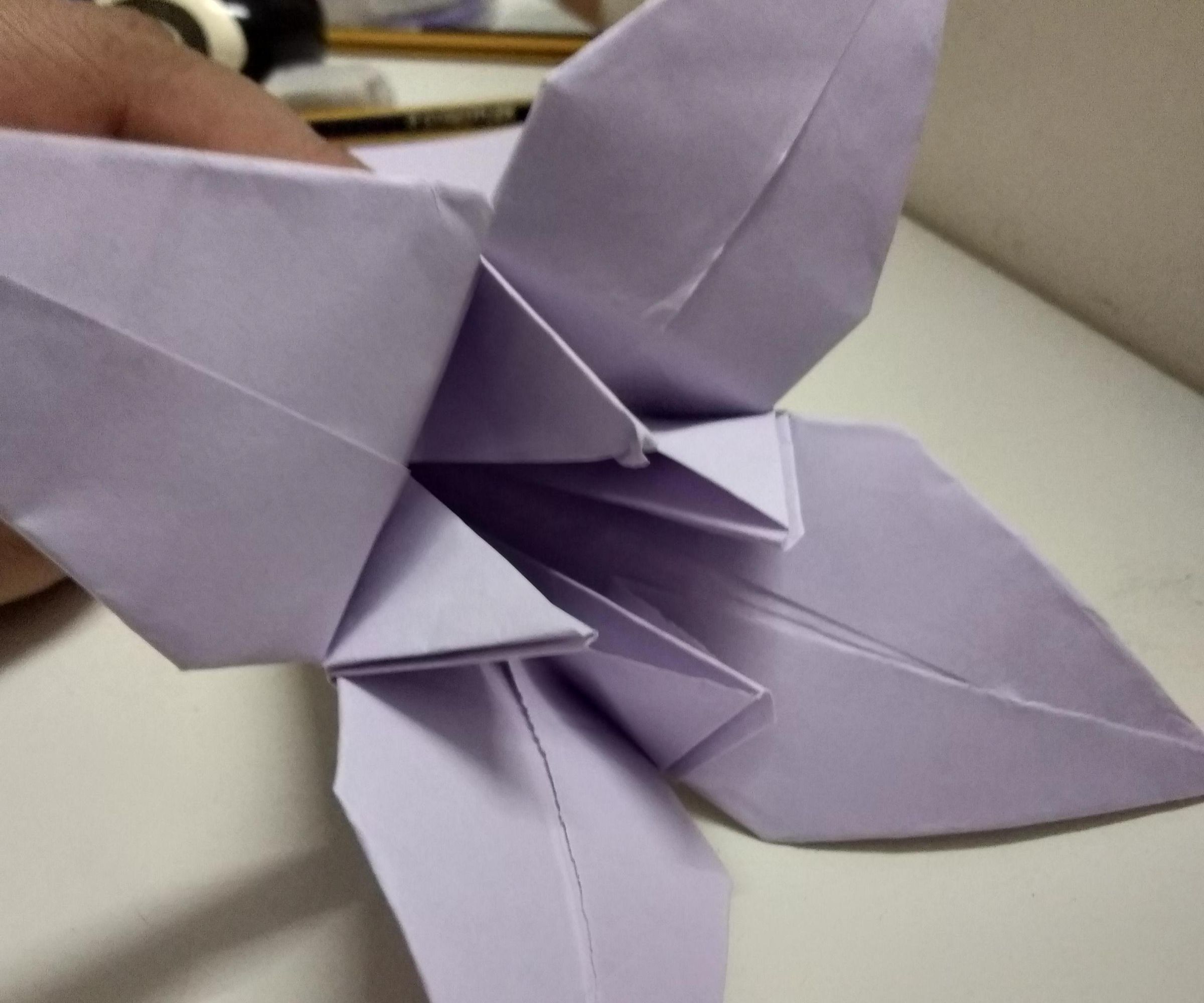 a beautiful lily DIY Project DIY Project Image