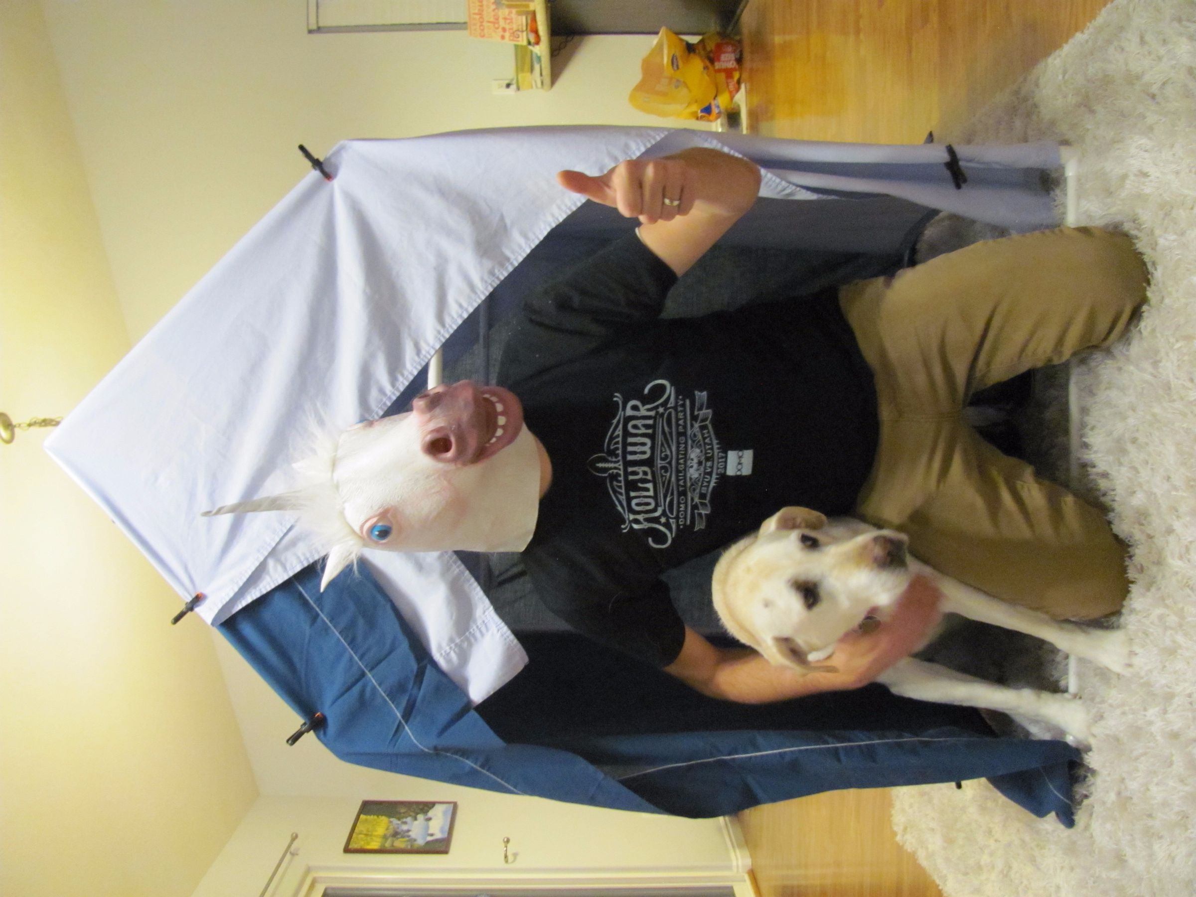 guinea pig tunnels pvc