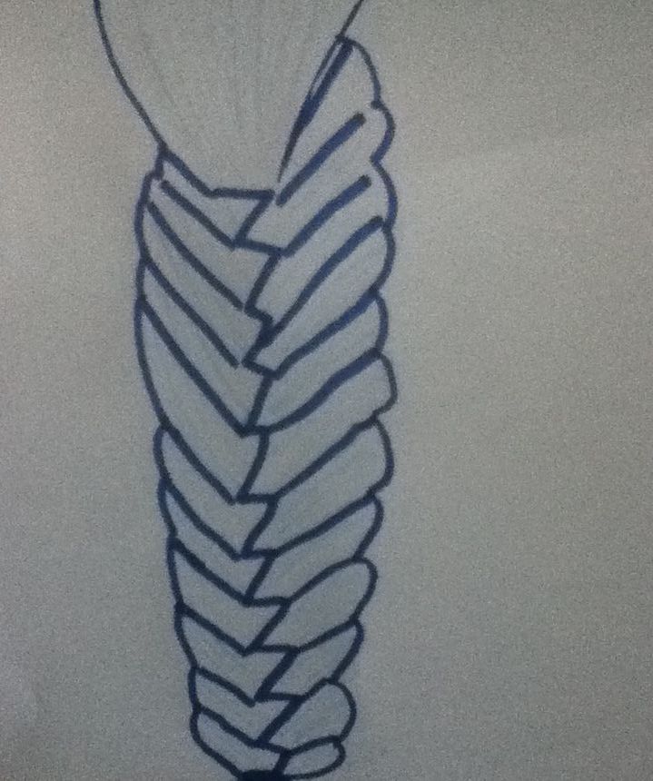 how to draw a plait DIY Project DIY Project Image