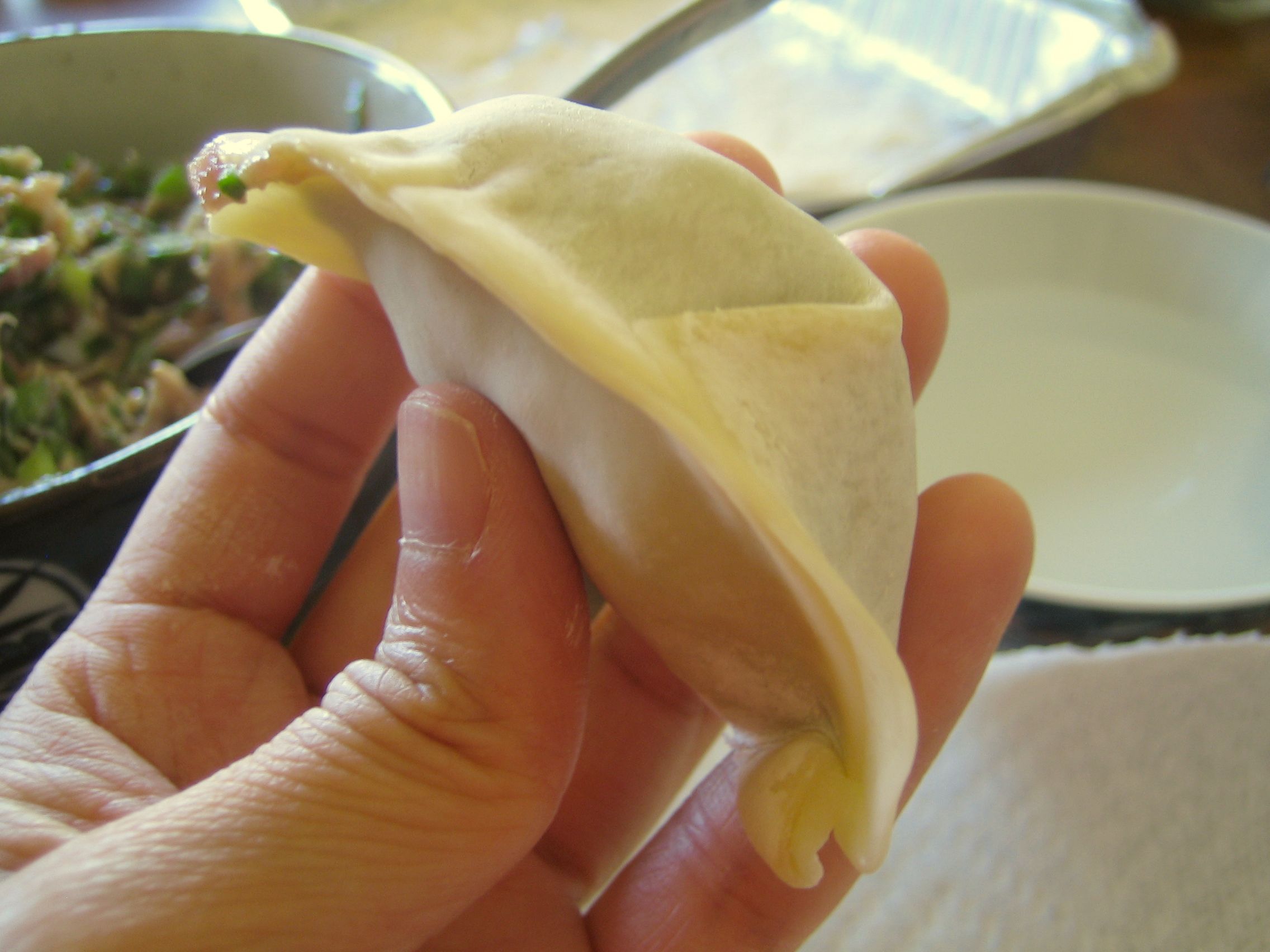 How to Make Potstickers From Scratch! 6 Steps (with Pictures