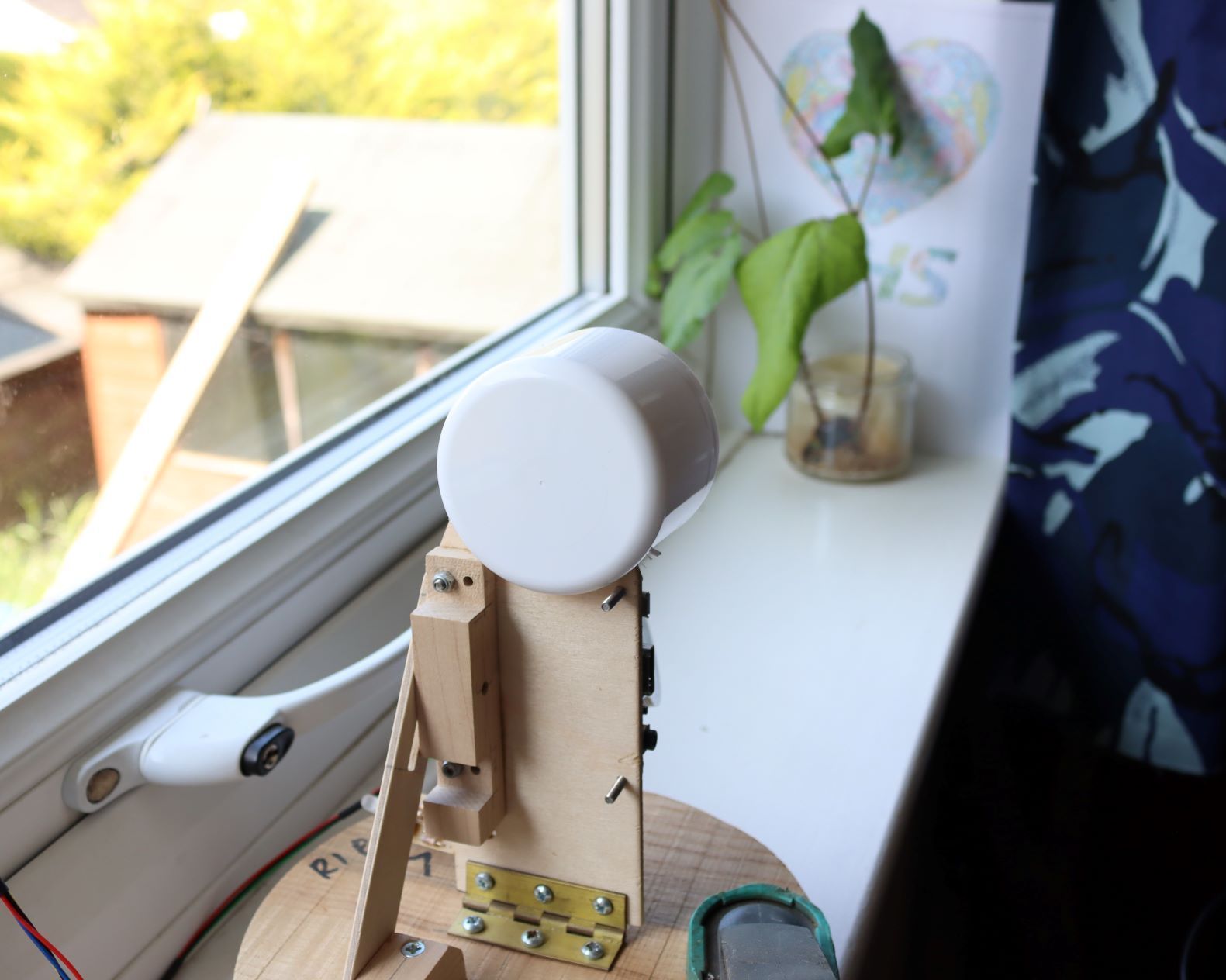 Raspberry PI Time Lapse (bean Growing) 4 Steps (with Pictures