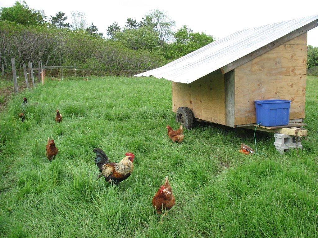 Guide to Chicken Coops Instructables