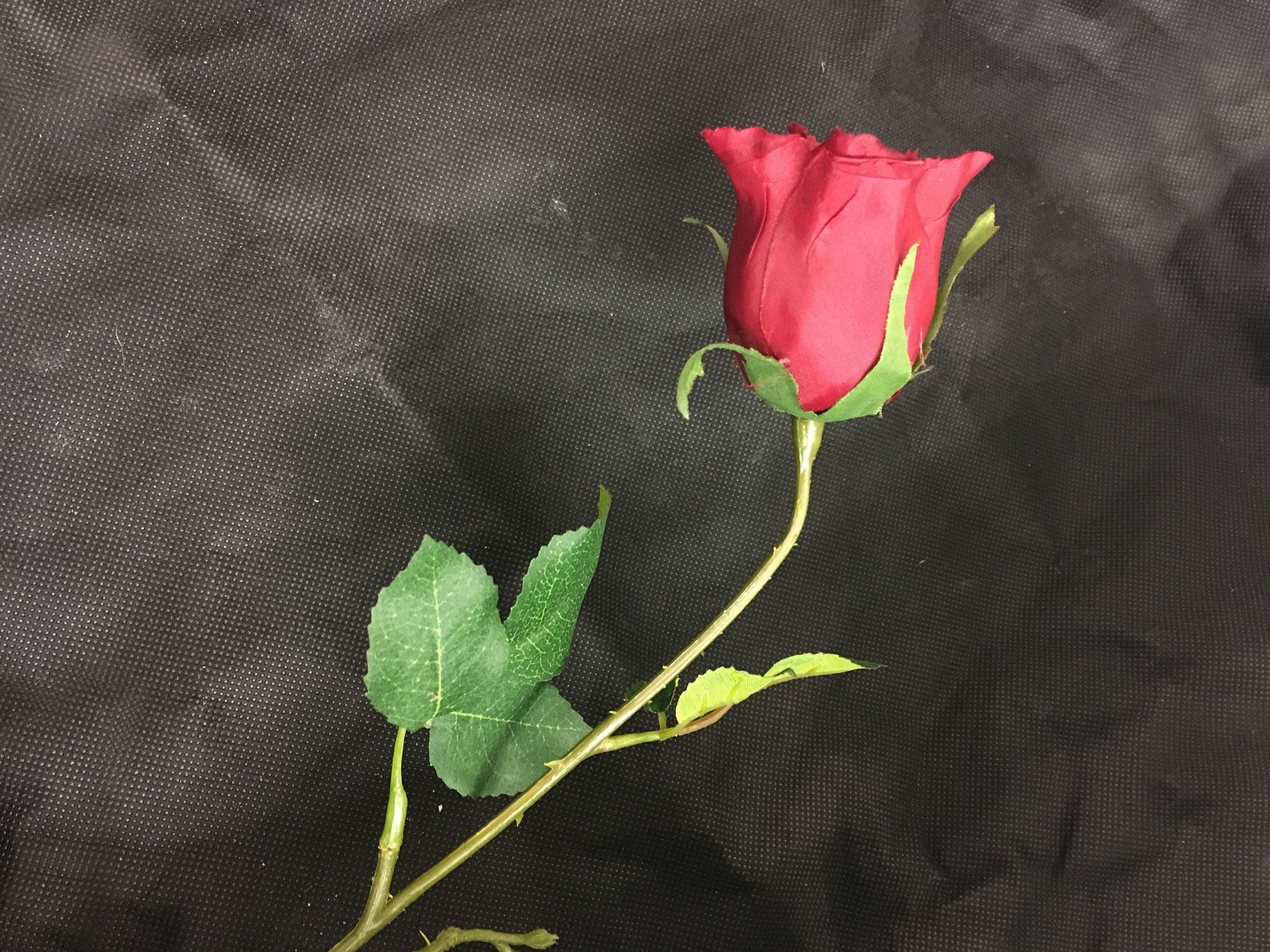 Enchanted Rose Beauty And The Beast 6 Steps With Pictures Instructables