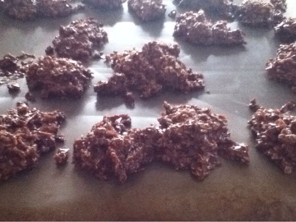 Chocolate Oatmeal Candy 6 Steps Instructables