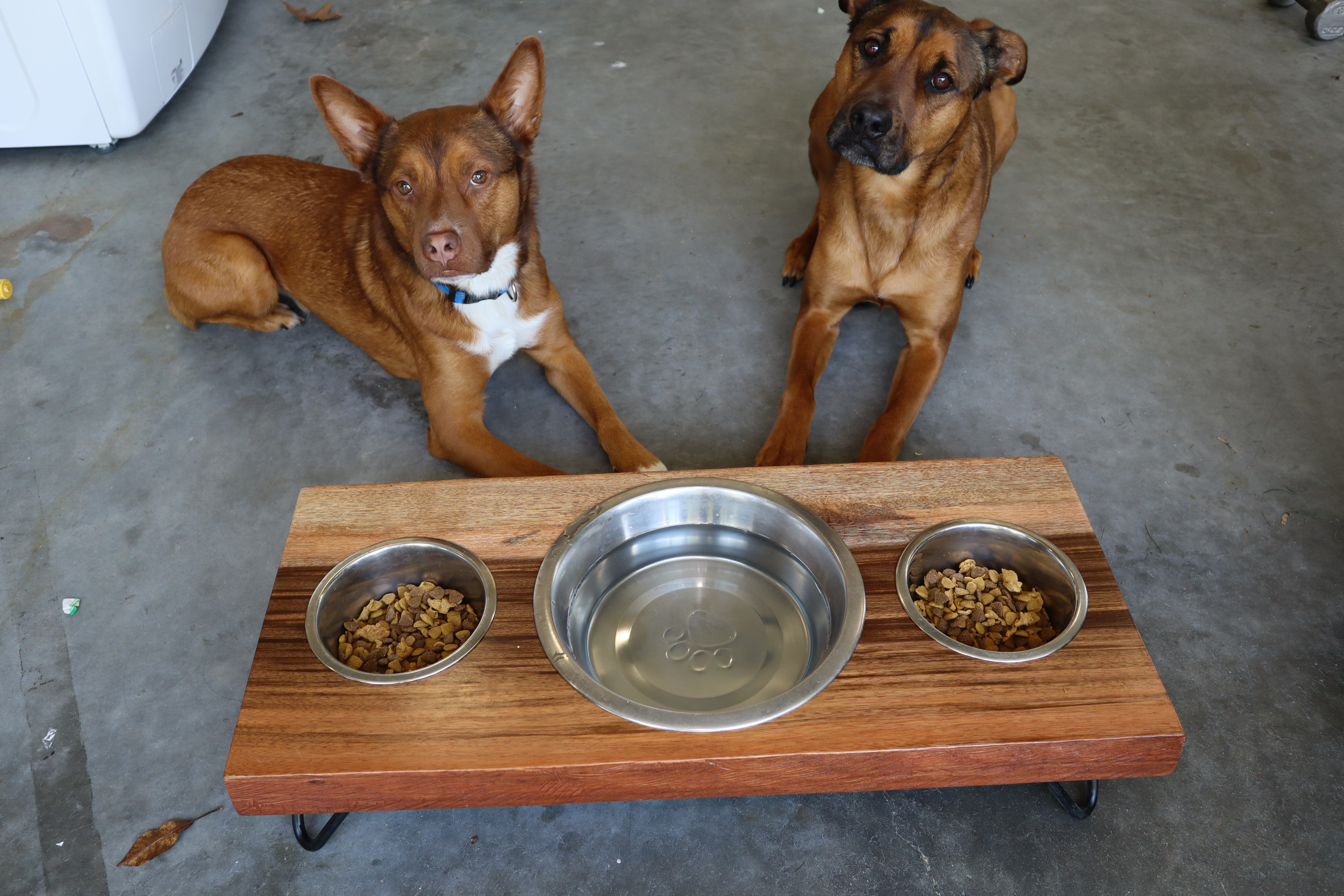 How to Build a Dog Food Bowl Stand 6 Steps (with Pictures