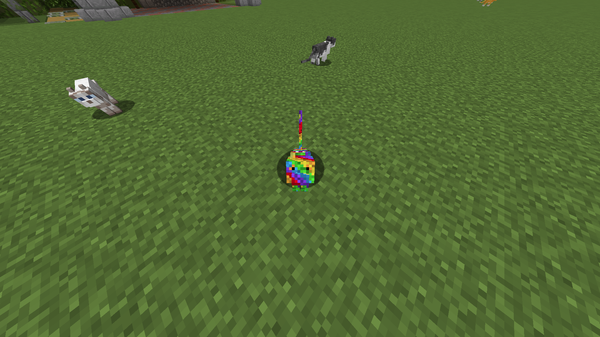 How to Make a Minecraft Rainbow Cat Mob Skin 6 Steps Instructables