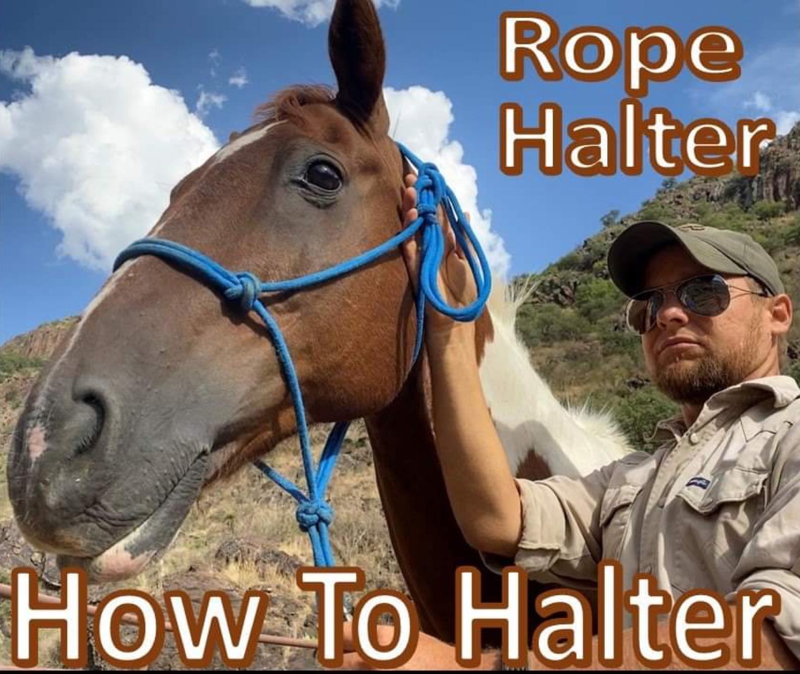 How to Halter a Horse Fit & Tie a Rope Halter 6 Steps (with