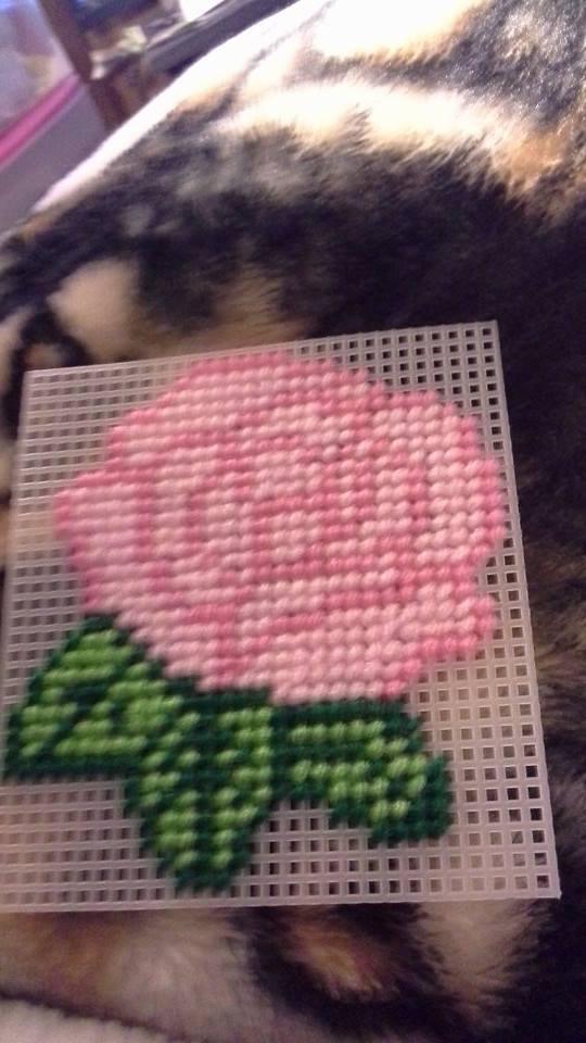 Plastic Canvas Coasters 6 Steps Instructables