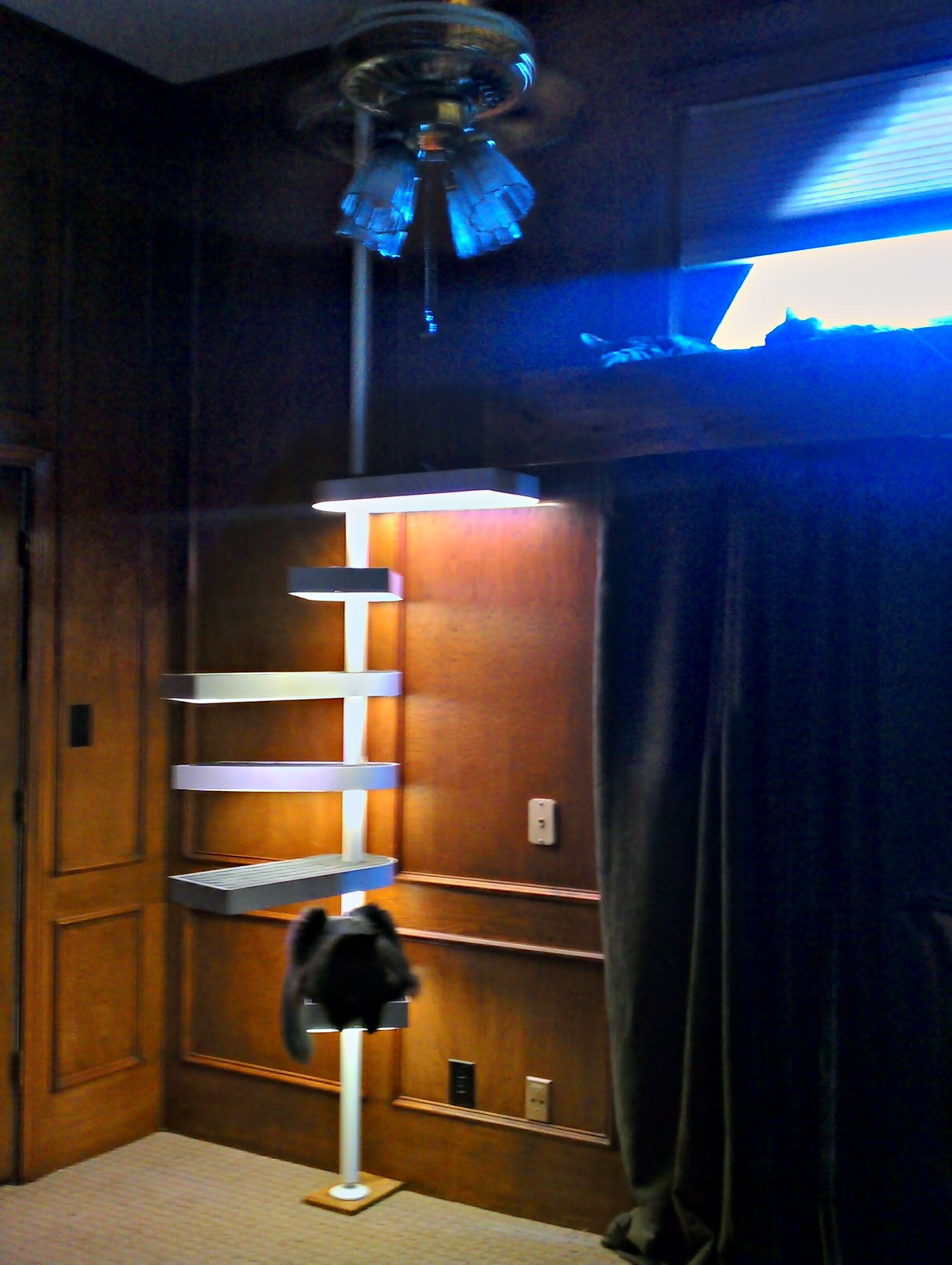 Cat Staircase Deluxe 25 Steps (with Pictures) Instructables