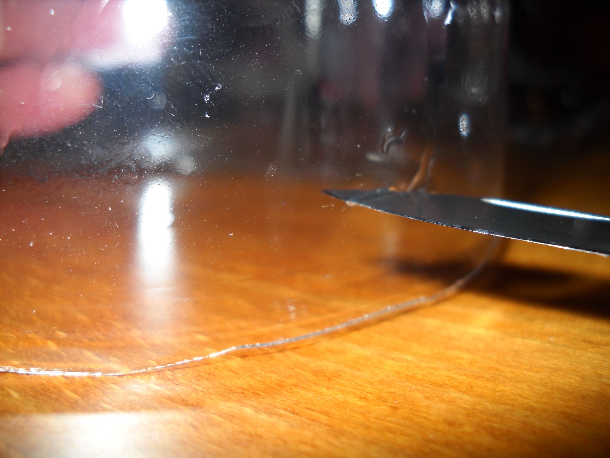 Mini Greenhouse for Seedlings Cat Proof! 9 Steps Instructables