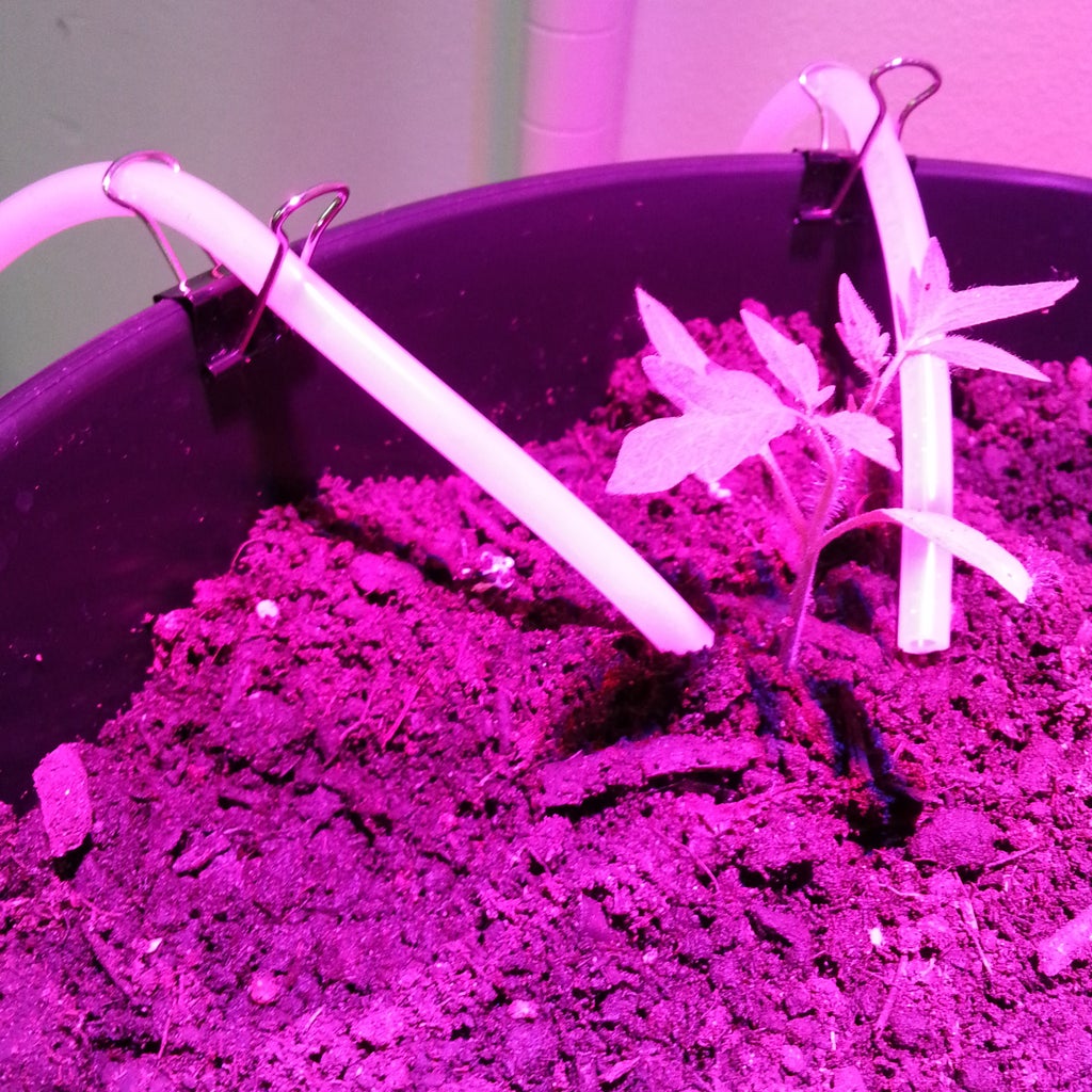 Automatic Plant Watering System With Arduino : 7 Steps (with Pictures ...