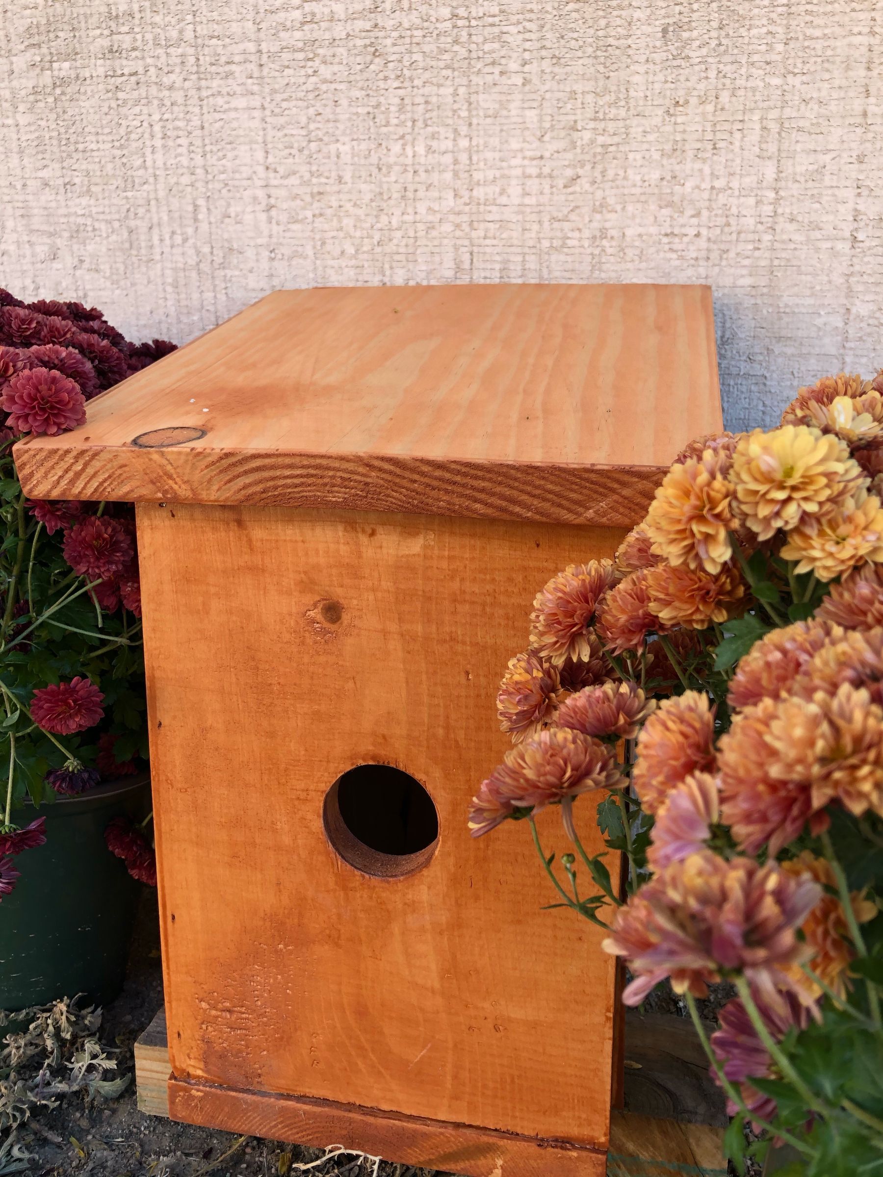 House Finch Birdhouse 9 Steps (with Pictures) Instructables