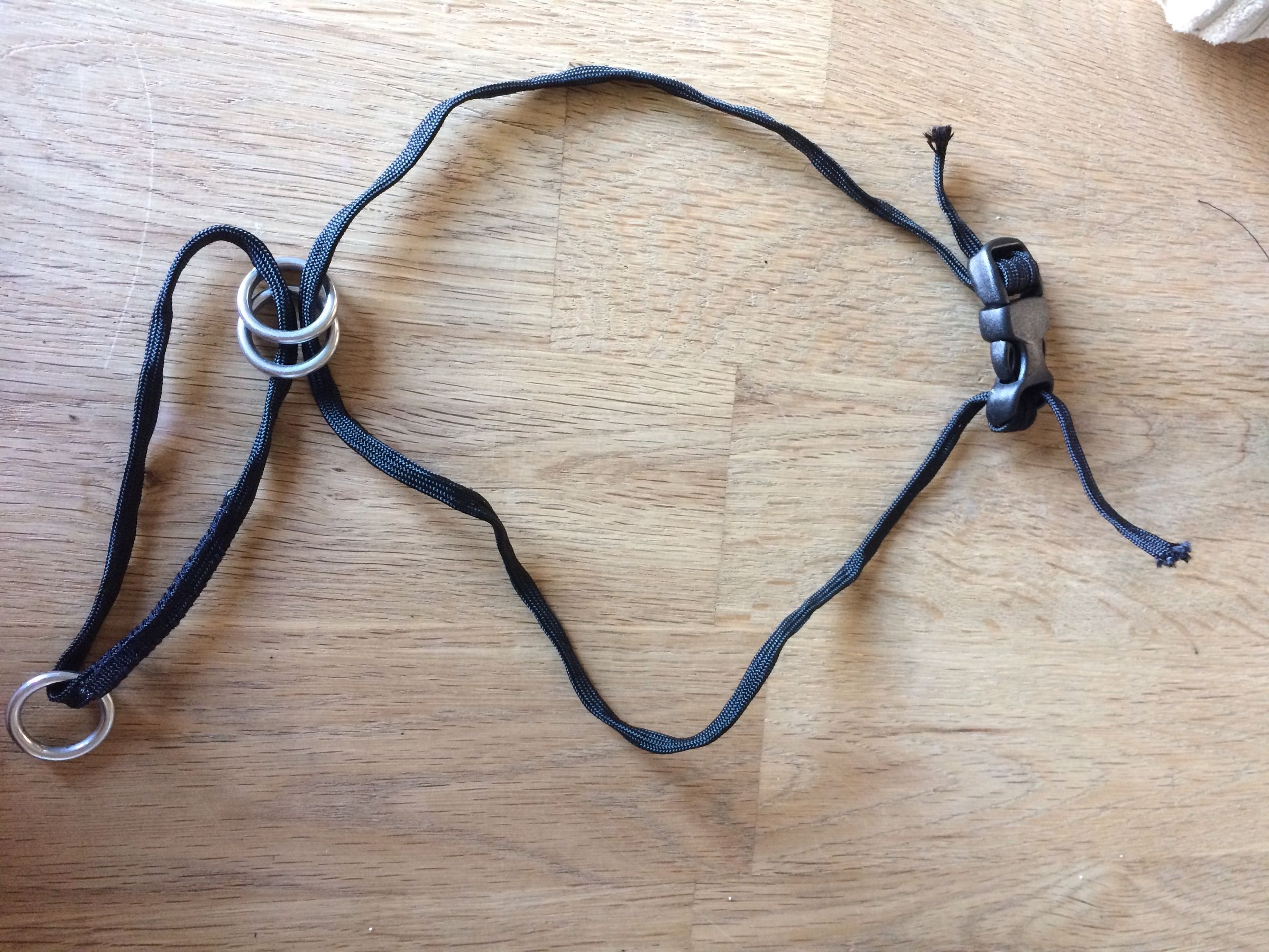 DIY Dog Halter/ Head Collar 7 Steps (with Pictures) Instructables