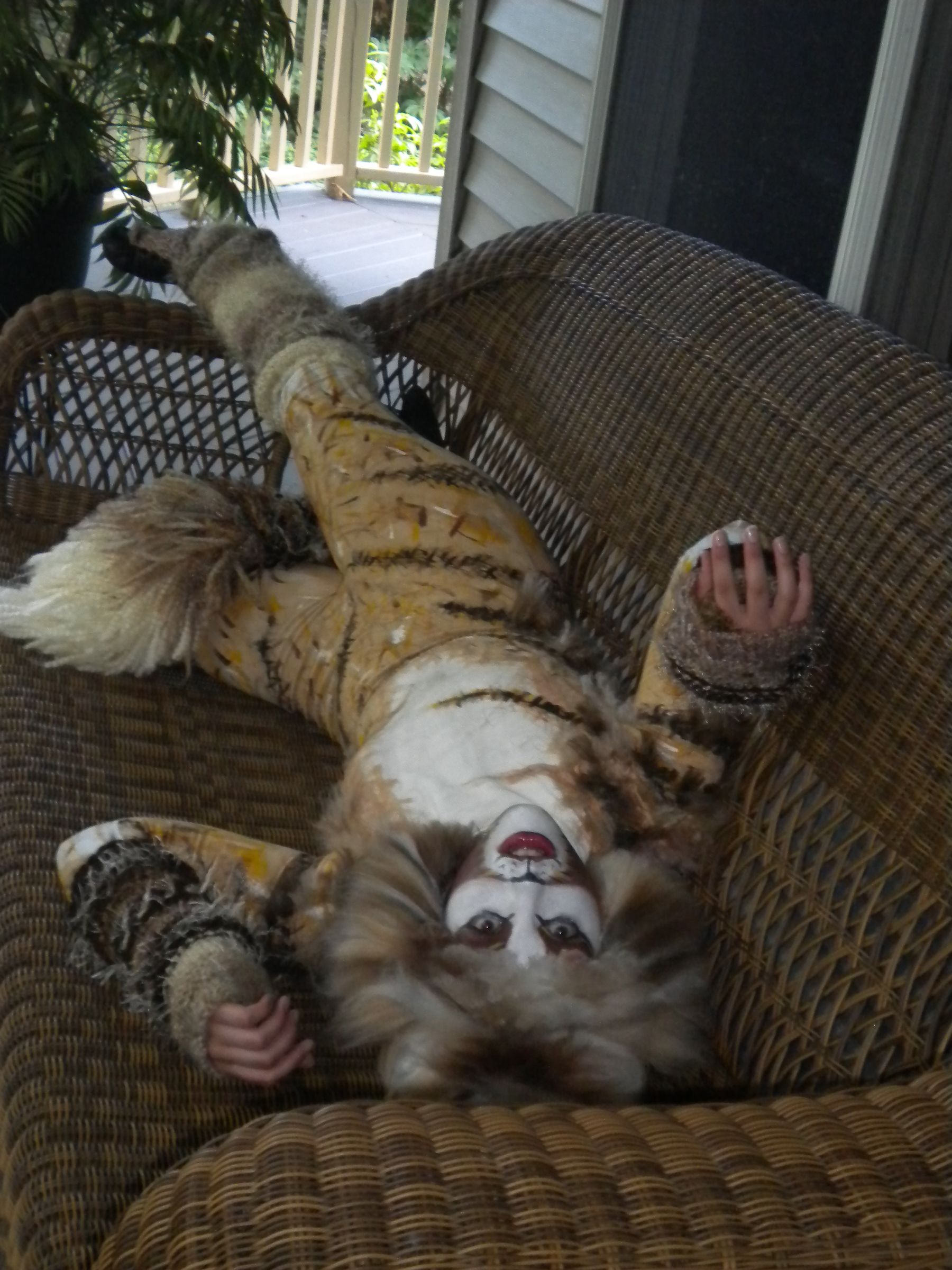 DIY guide for Cats Musical Costume with step-by-step instructions