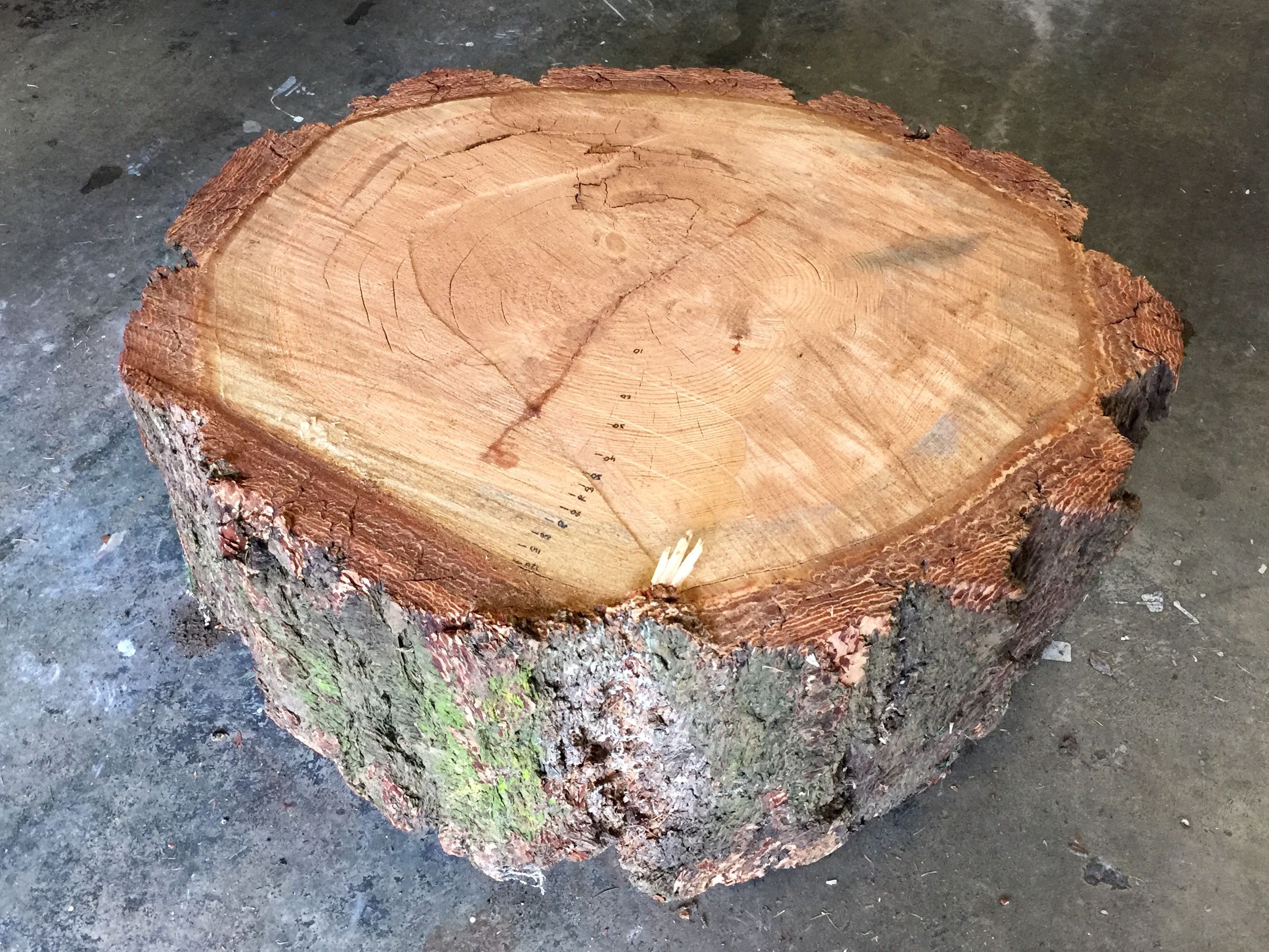 DIY Lacrosse Rebounder 5 Steps (with Pictures) Instructables