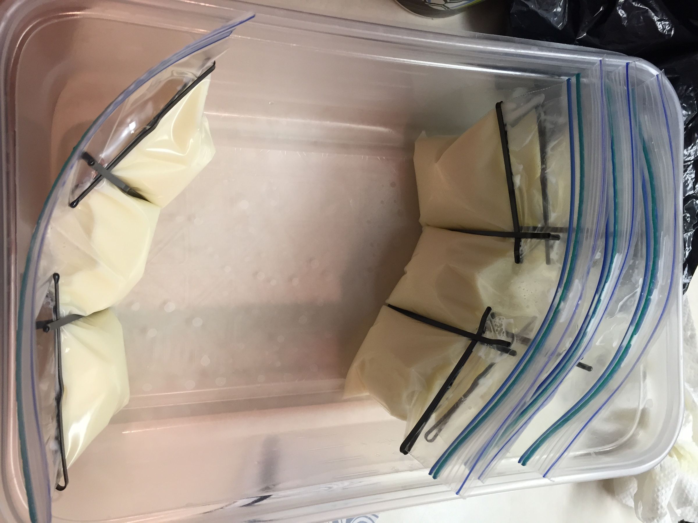 Edible Tide Pod Jell-O Shots : 7 Steps (with Pictures) - Instructables