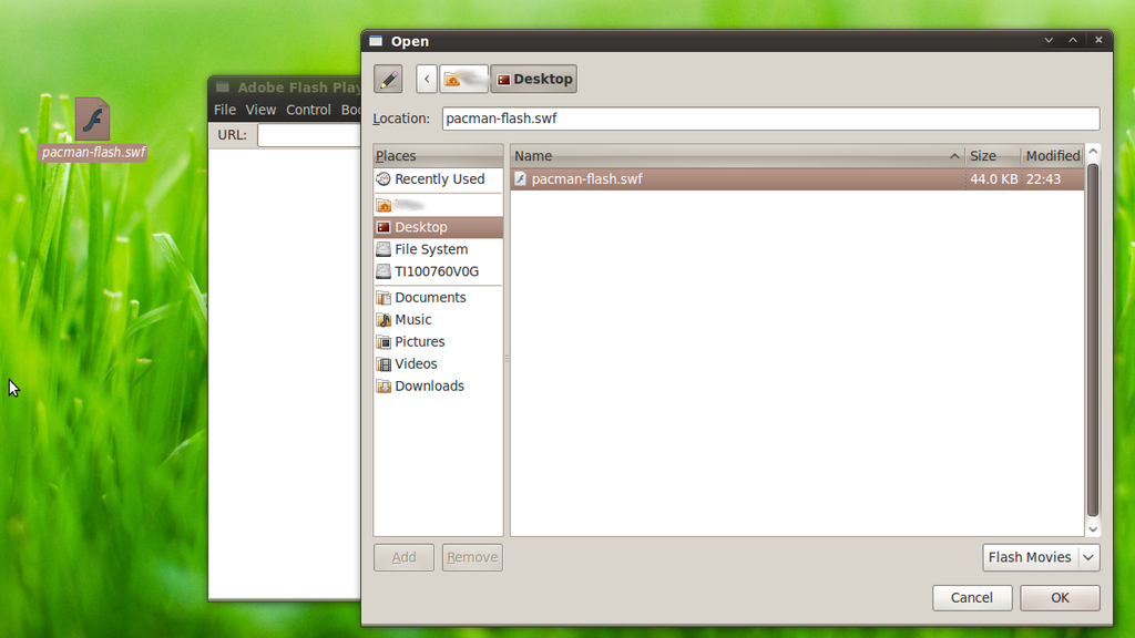 Flash Player Projector Download / Open the exe of adobe flash player