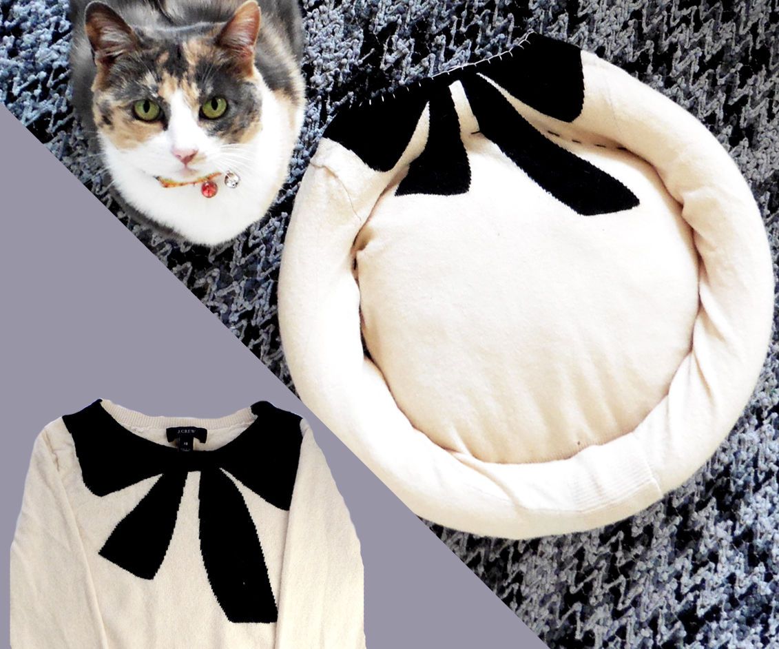 pool noodle collar for cat