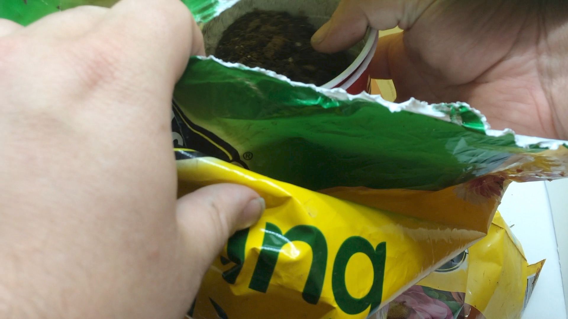 Transform Ordinary Solo Cups Into a Hybrid Hydroponic/Soil Plant