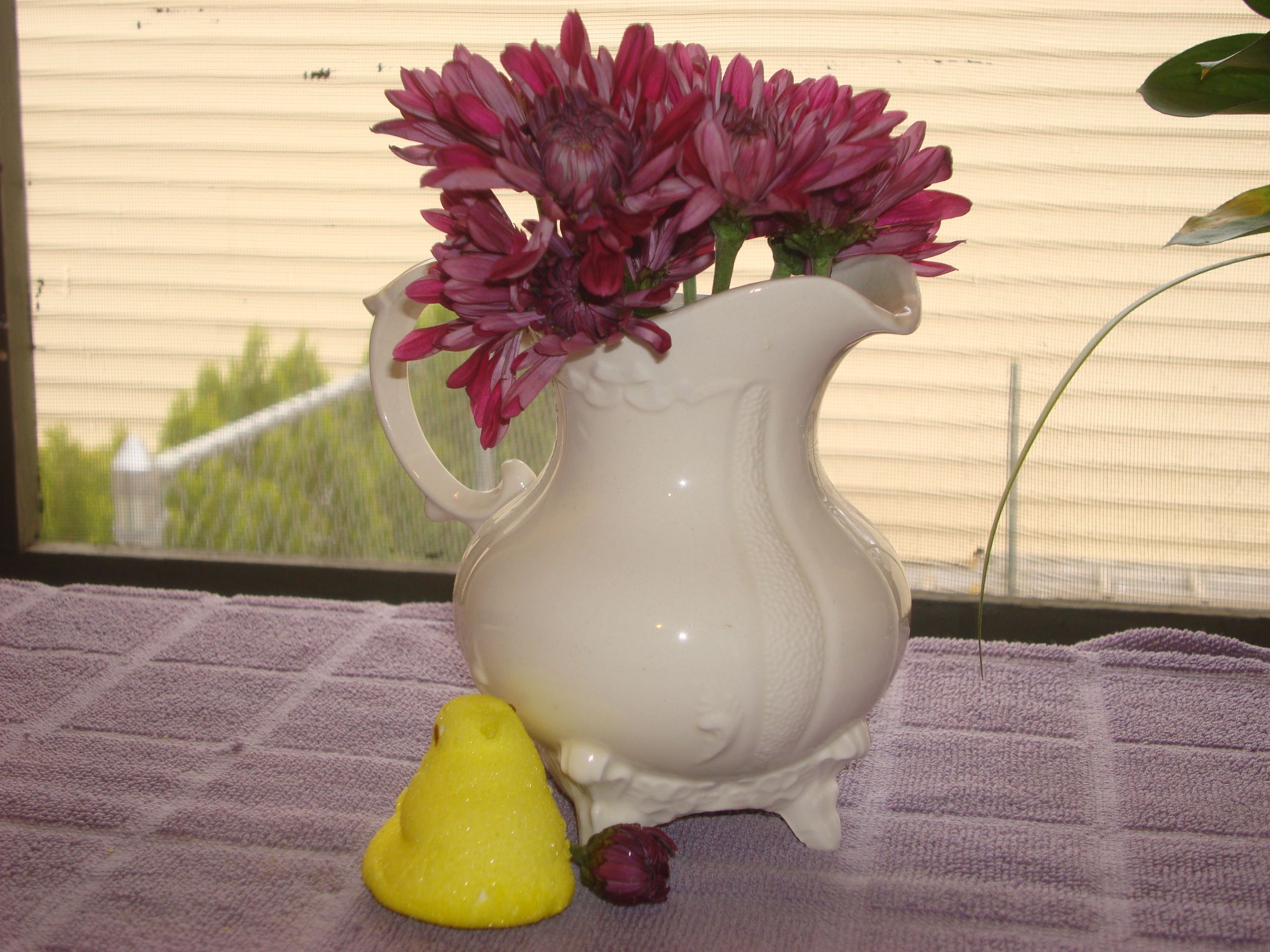 Fresh Cut Flower Preservative 6 Steps Instructables