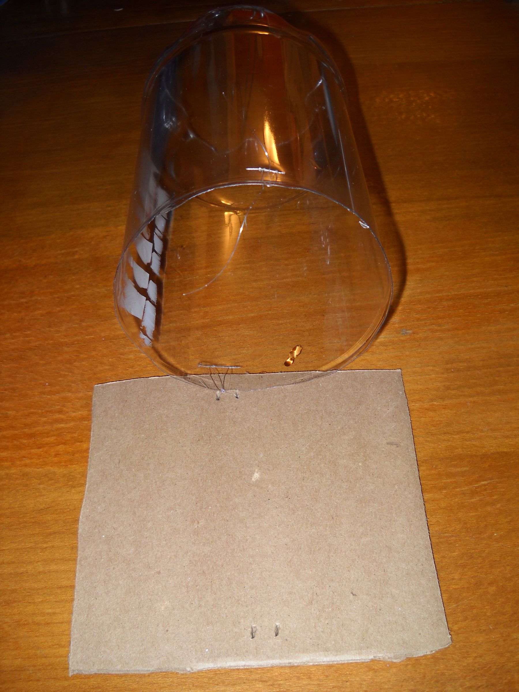 Mini Greenhouse for Seedlings Cat Proof! 9 Steps Instructables