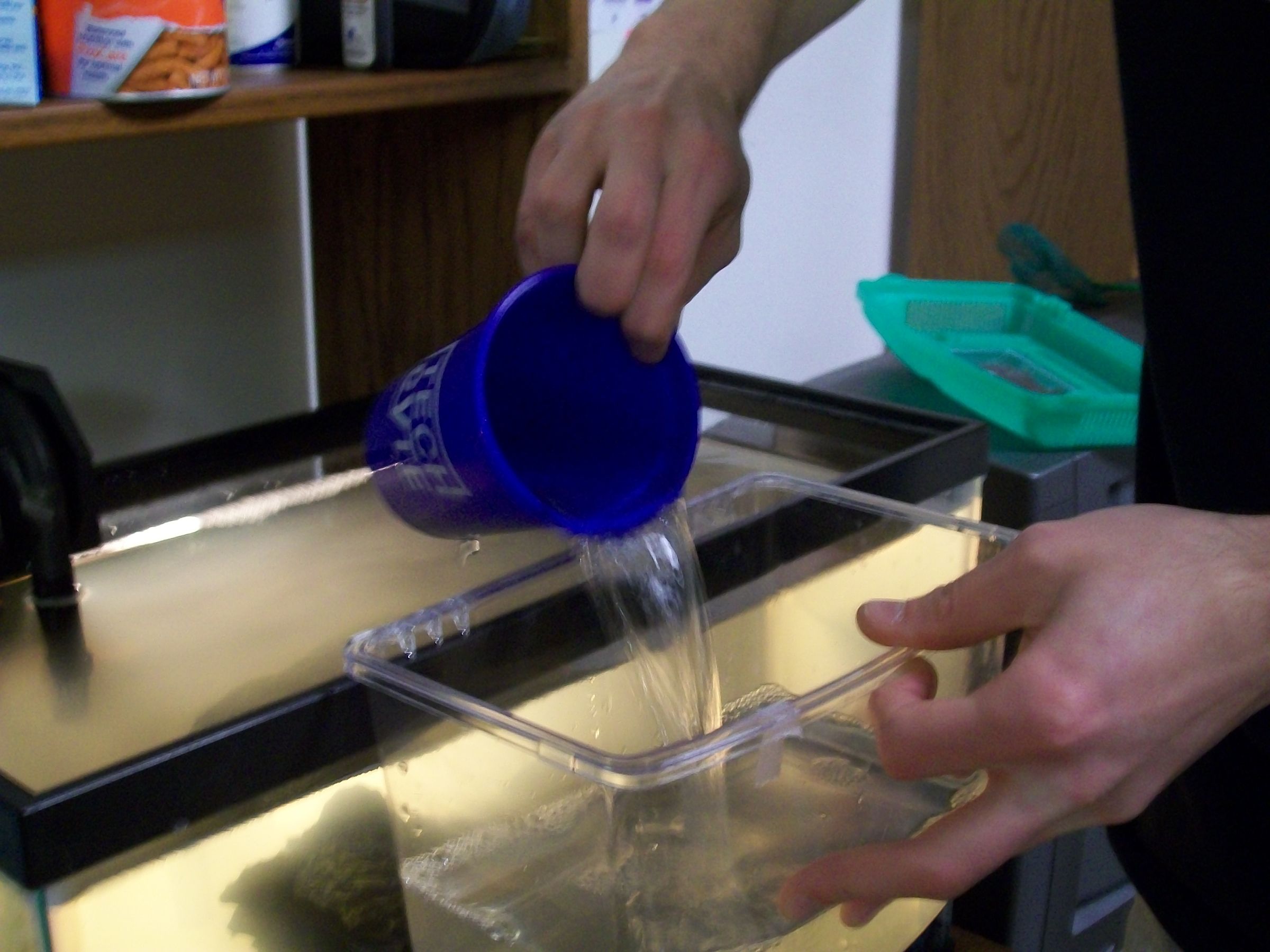 Dirty Tank? Let's Clean It Up! 10 Steps Instructables