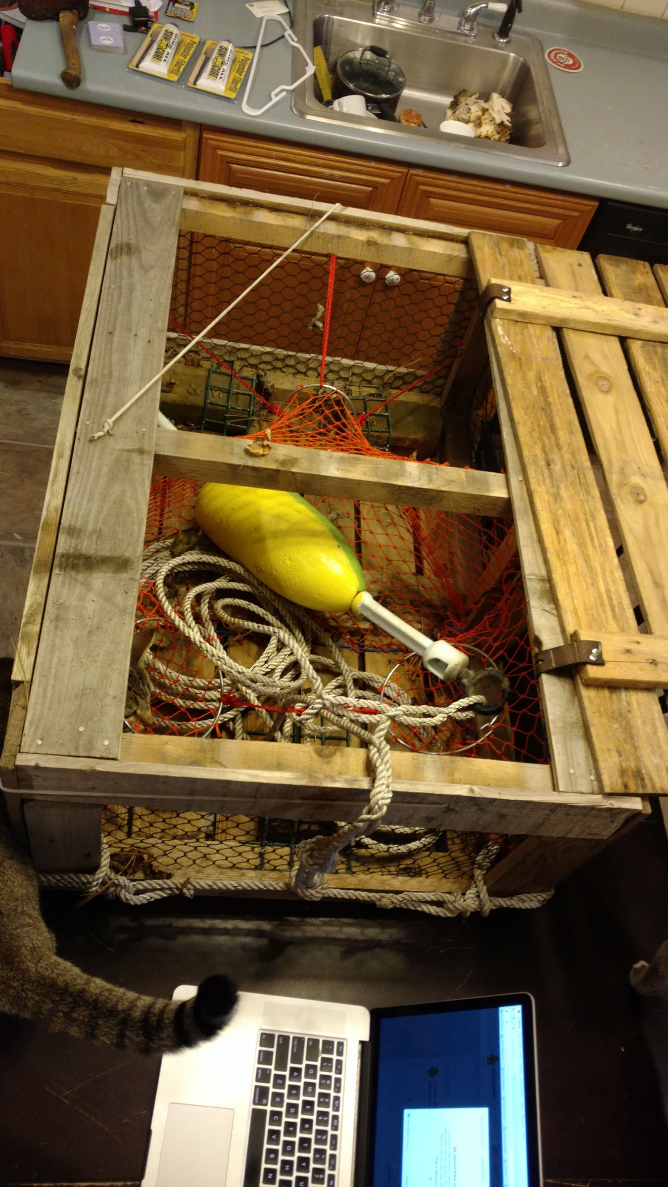 Lobster Trap 8 Steps (with Pictures) Instructables