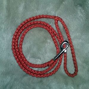 dog leash paracord diy
