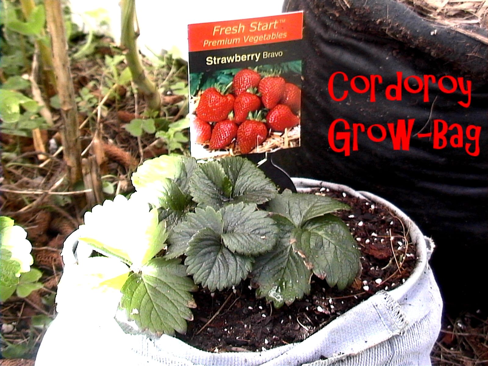 Sew a GrowBag or Upside Down Planter Bag (with Pictures) Instructables