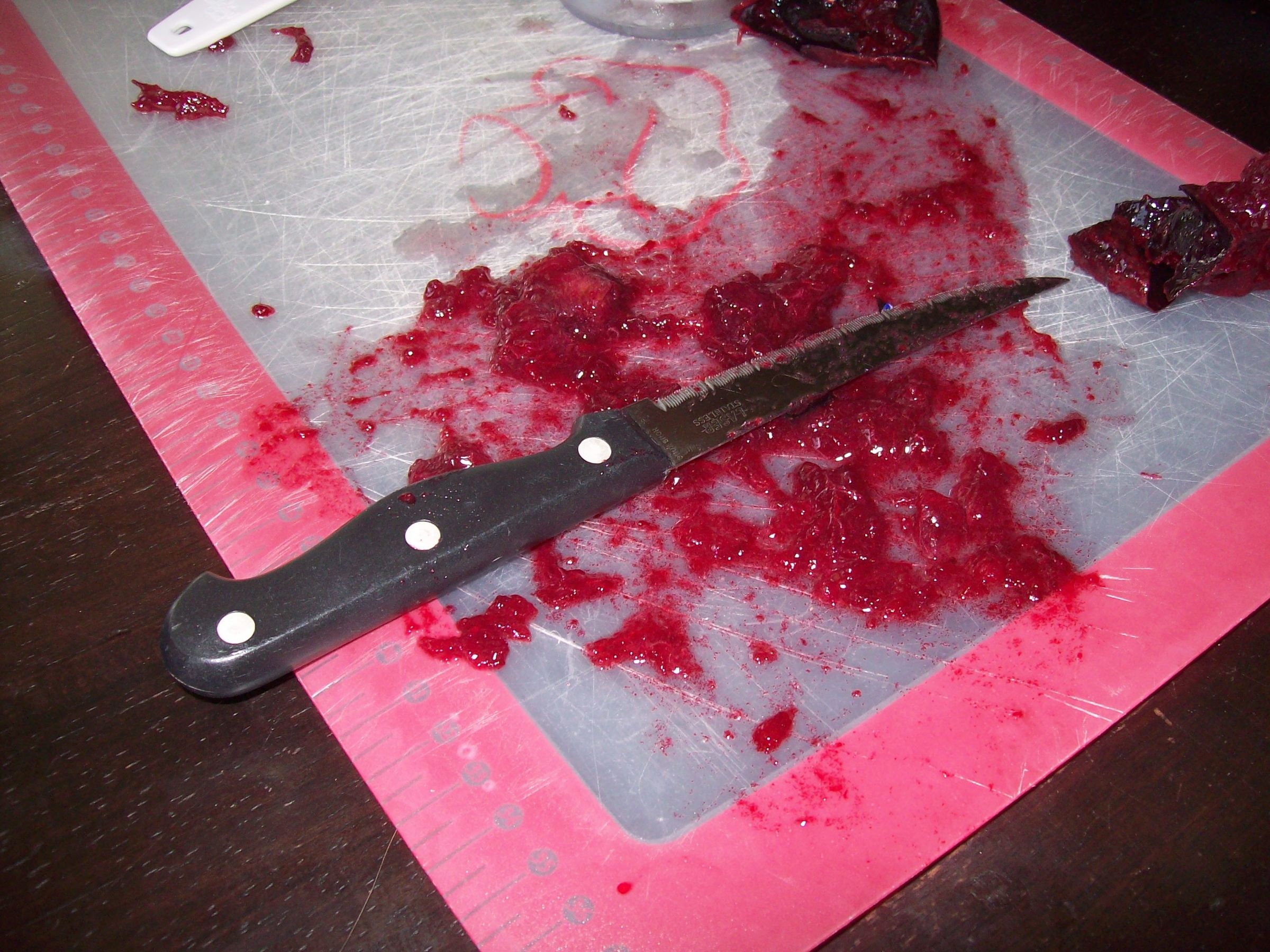 fake guts DIY Project DIY Project Image