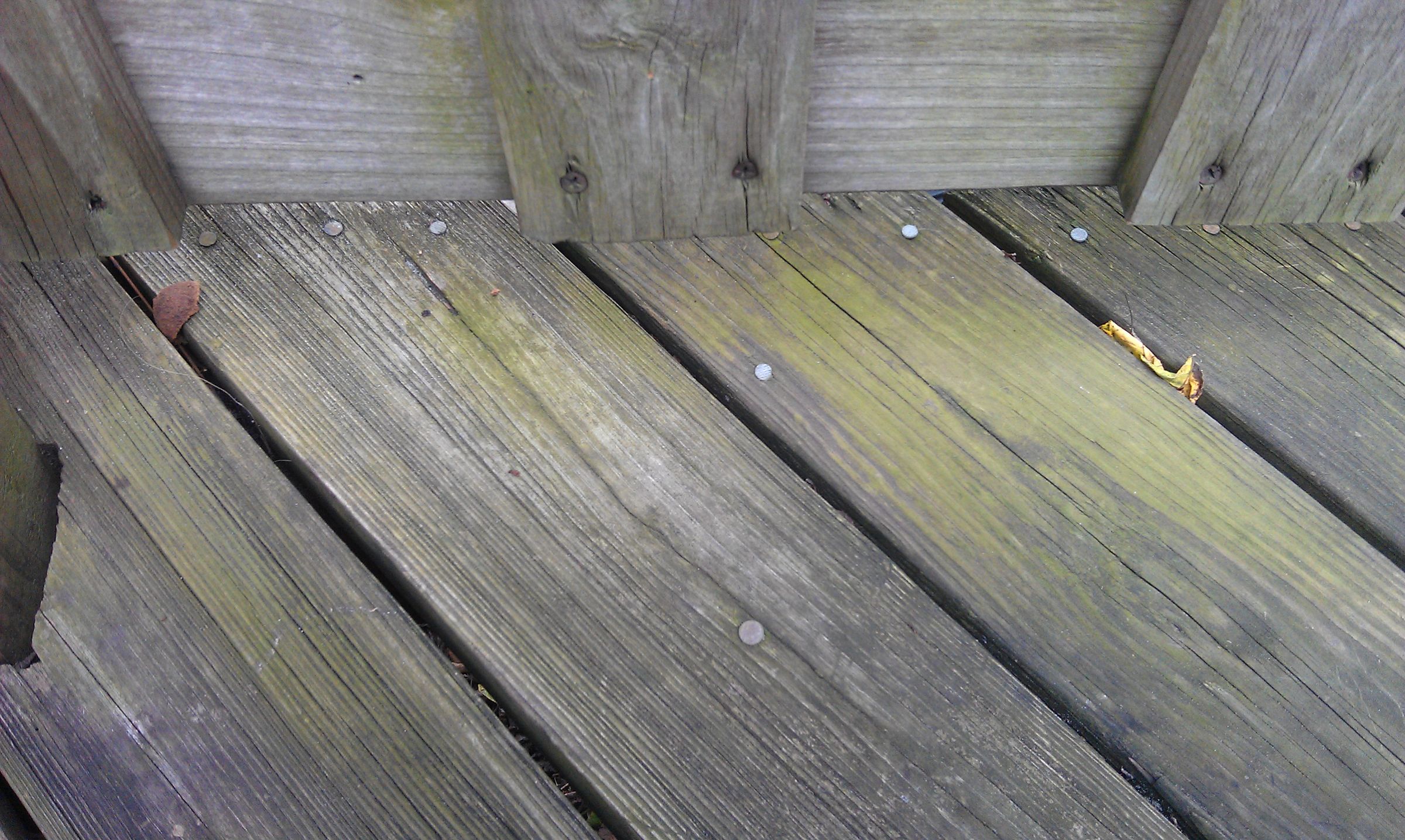 Killing Algae Growing on a Wooden Deck Using Hydrogen Peroxide