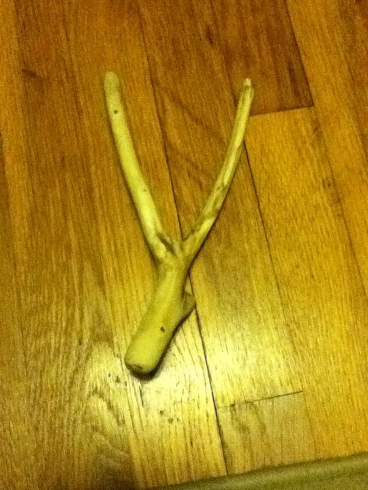 how to make a slingshot DIY Project DIY Project Image