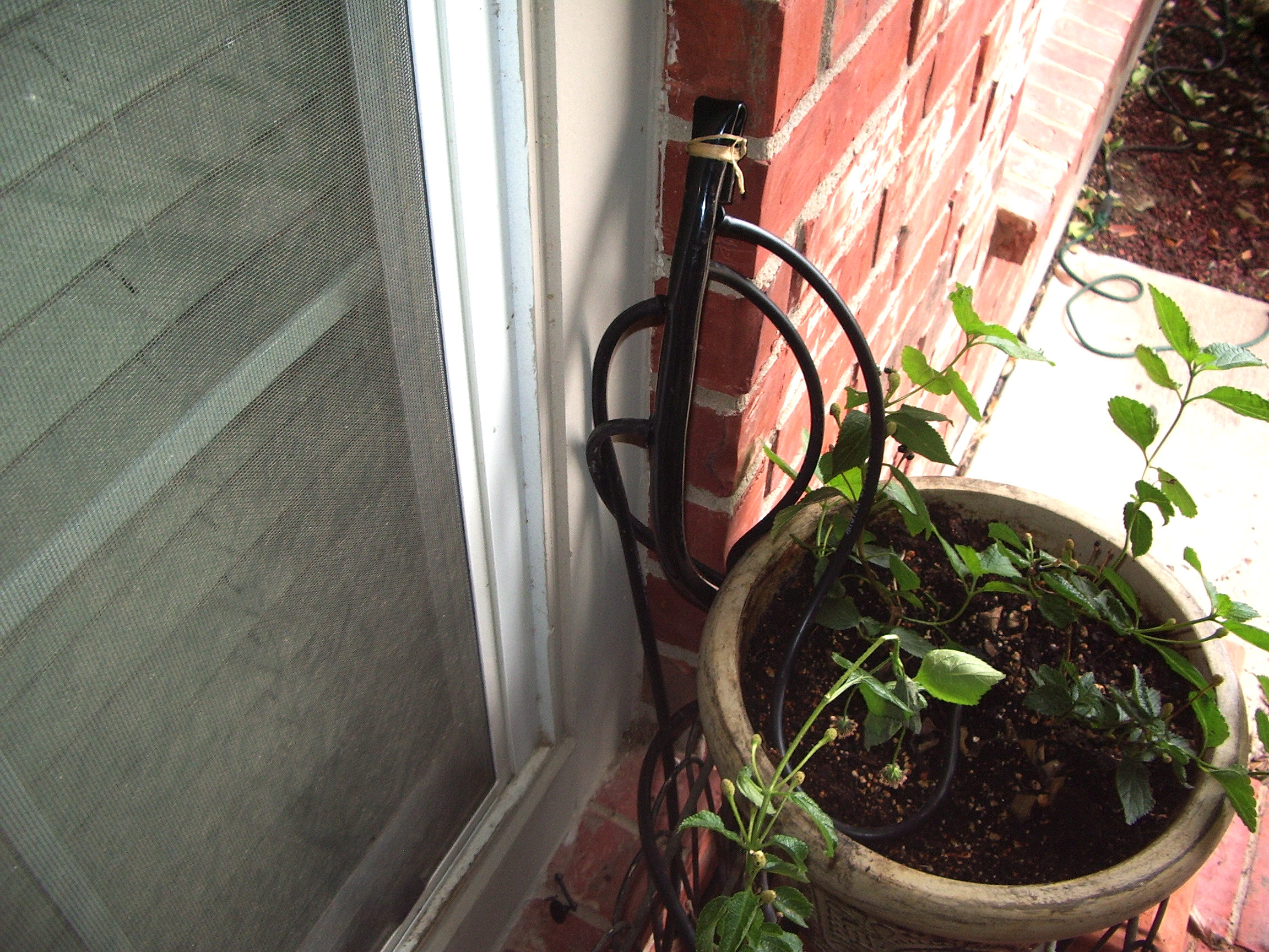 Automatic Watering From a Water Barrel 4 Steps (with Pictures