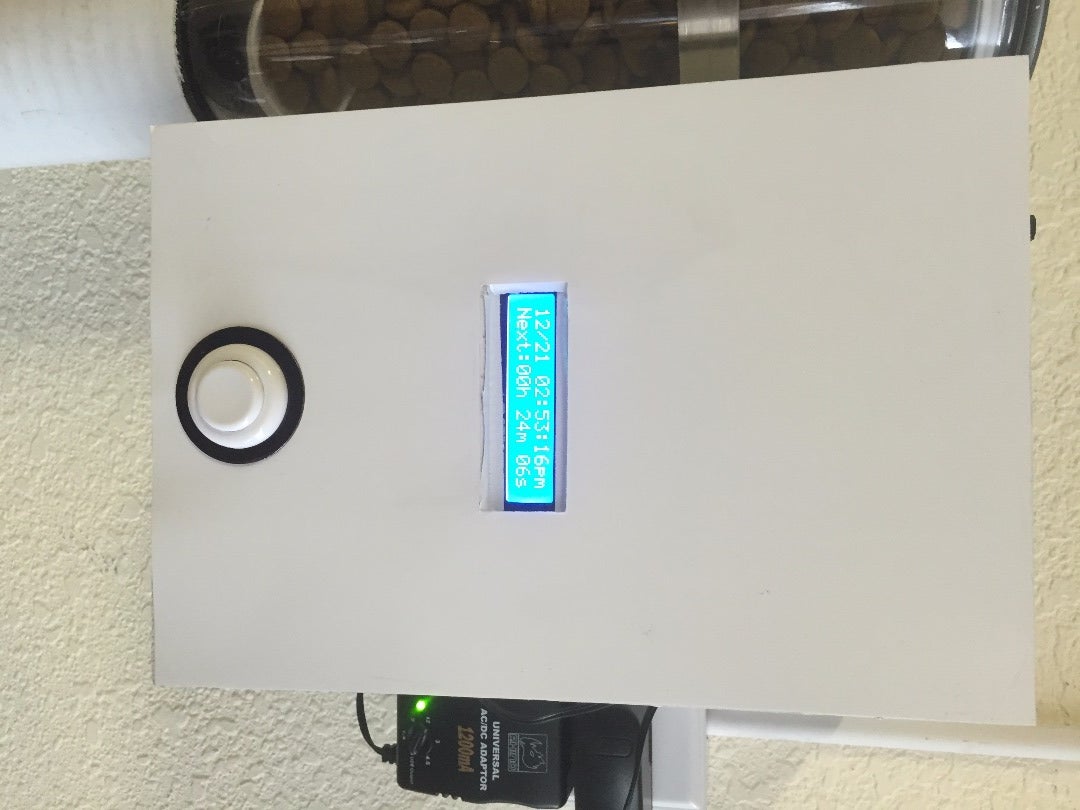 Enabled Raspberry Pi Pet Feeder 9 Steps (with Pictures