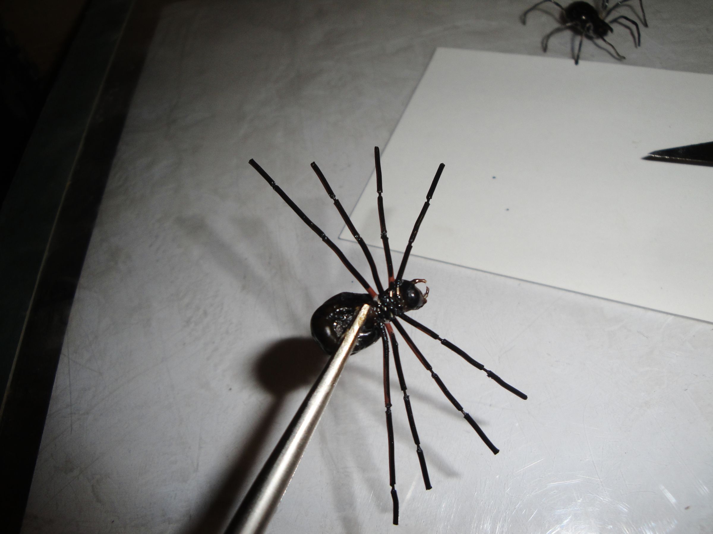 two sisters toy style spider prank