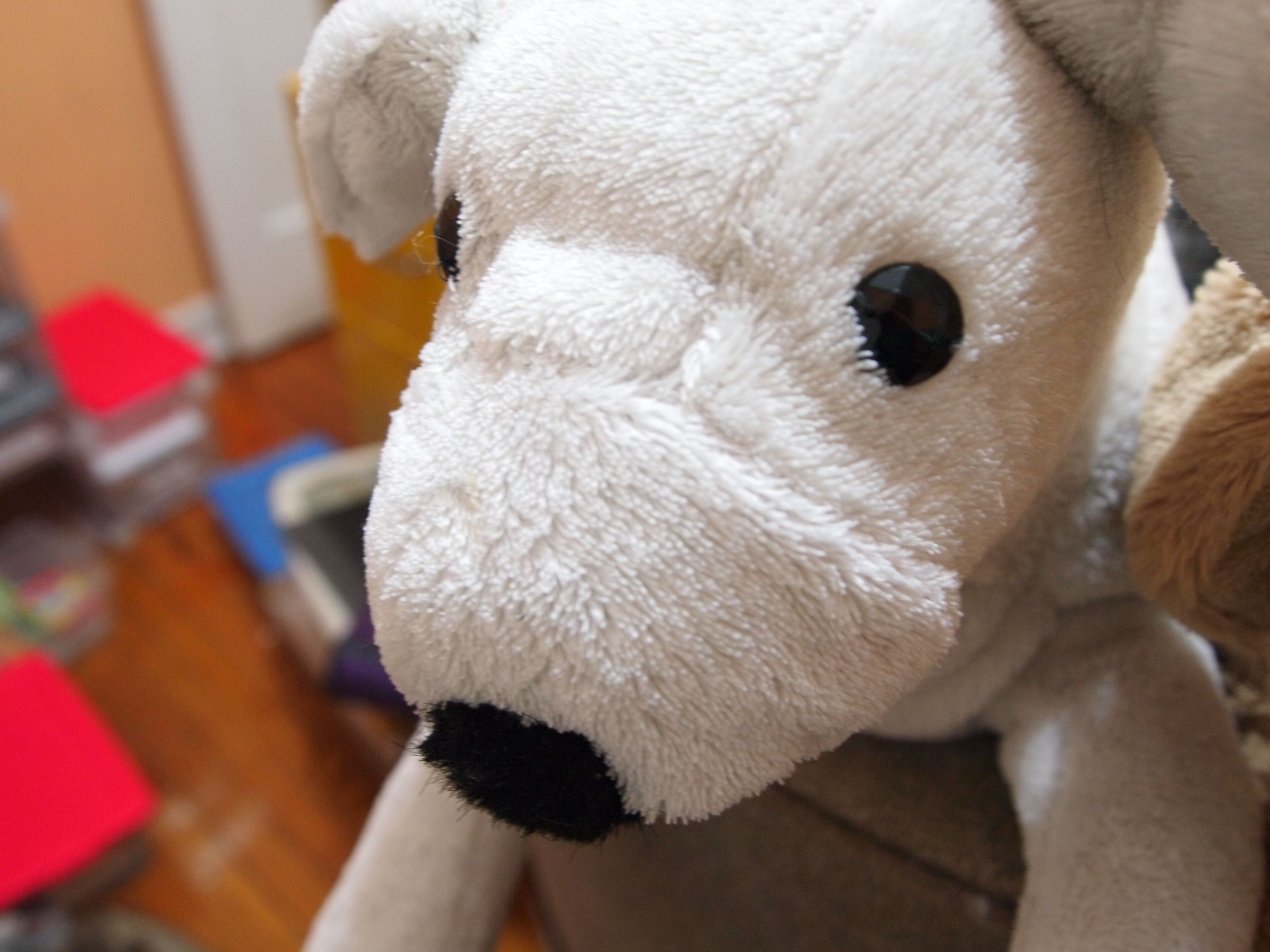 My Plush Spa Robe- Dog Robe