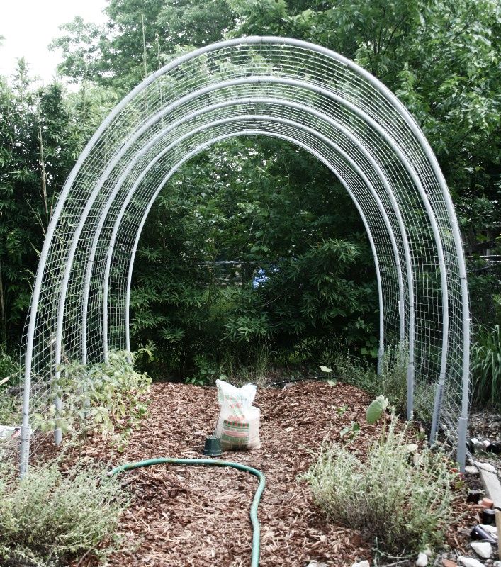 The ULTIMATE Tomato Hoop House Trellis of Death and Dismemberment