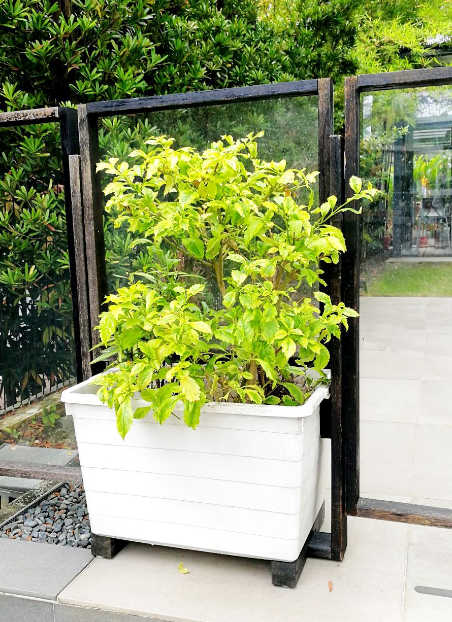 Modular Free Standing Planter Box Yard Fence Baby Gate 12 Steps With Pictures Instructables