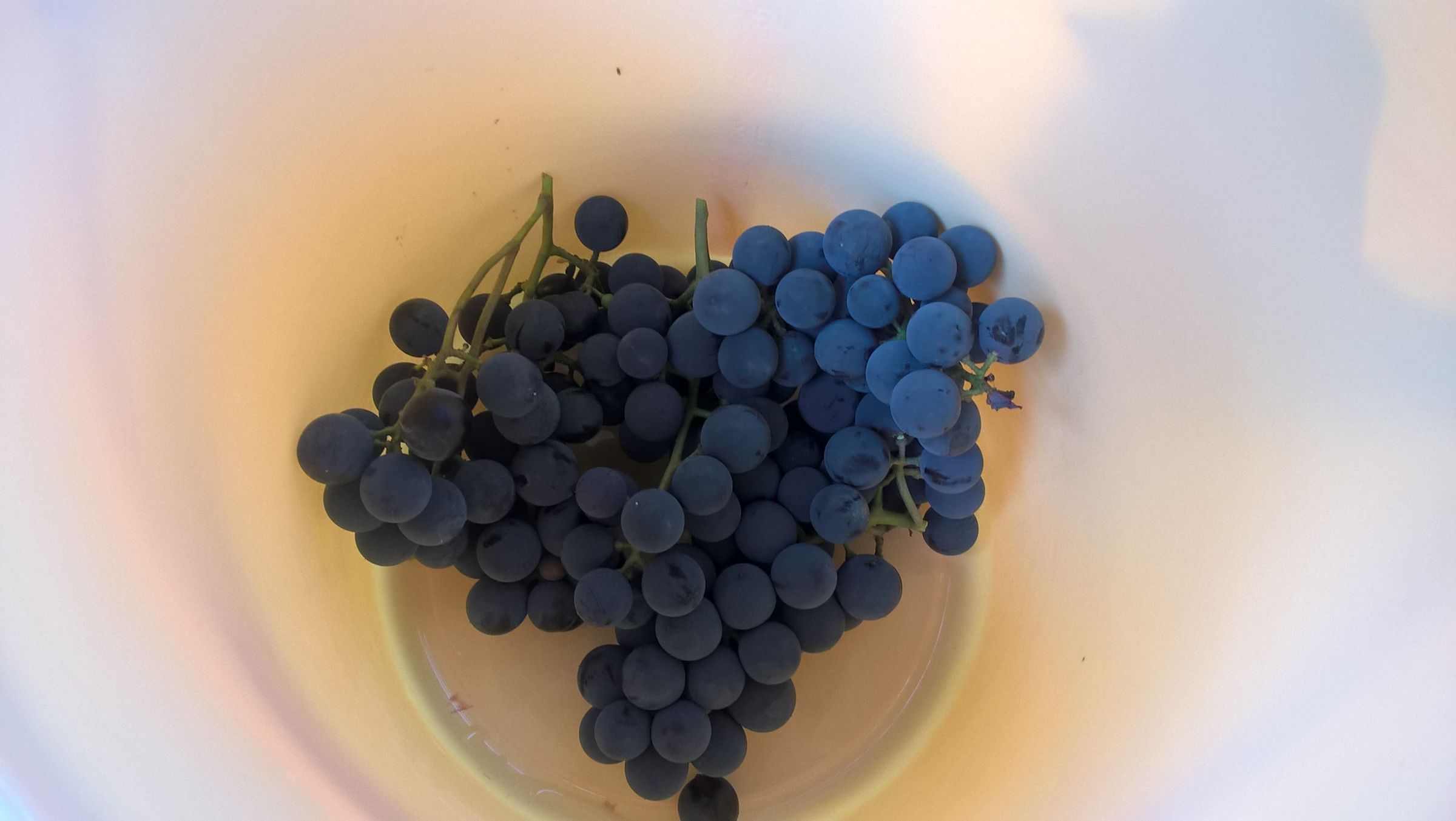 Grape Liqueur How to Make Grape Liqueur 6 Steps (with Pictures