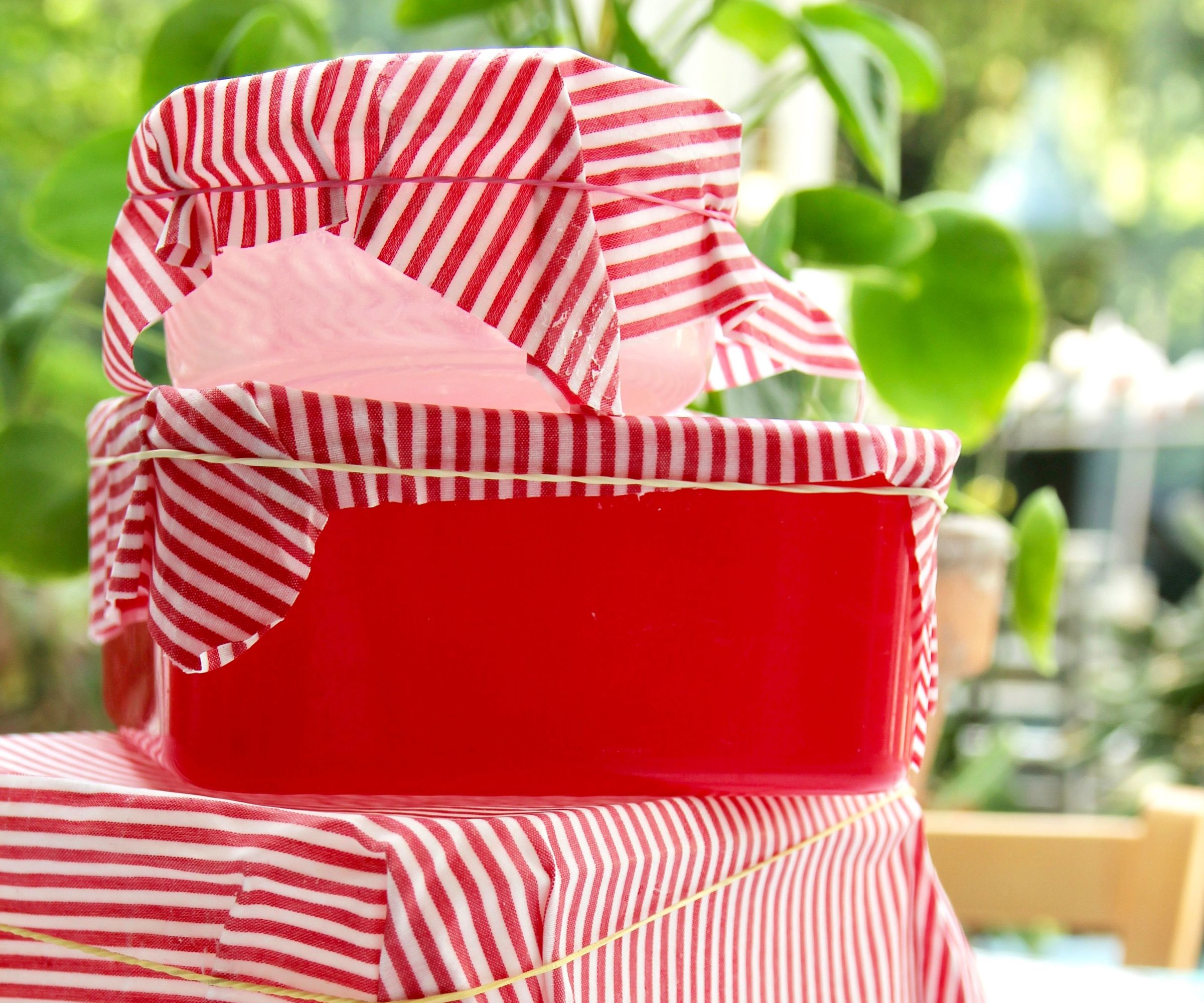 Beeswax Wrap - Reusable Substitution for Plastic Wrap