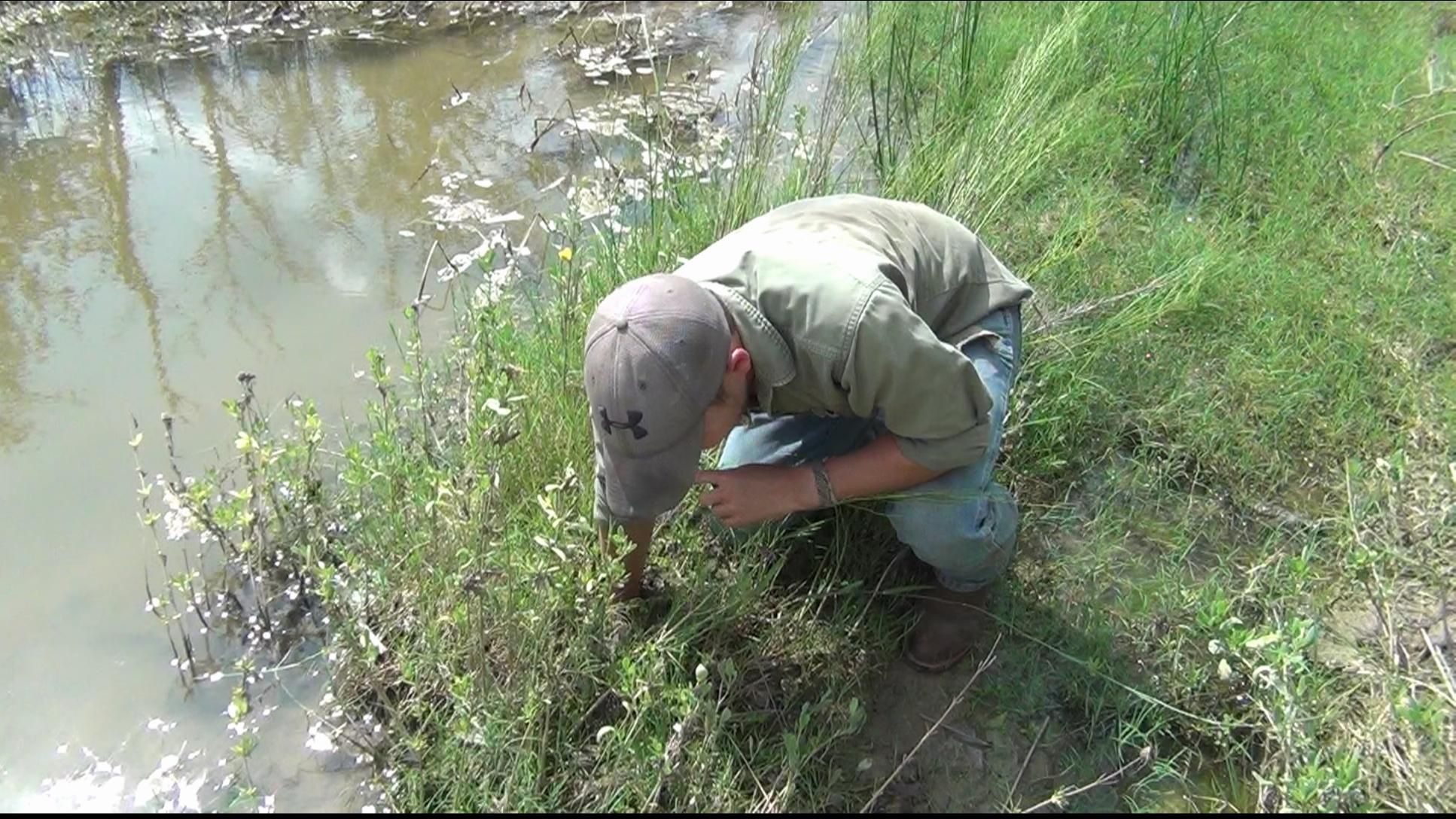 How to Dig Up Crawfish! Aka Crawdads, Crayfish, Mudbugs, Crays