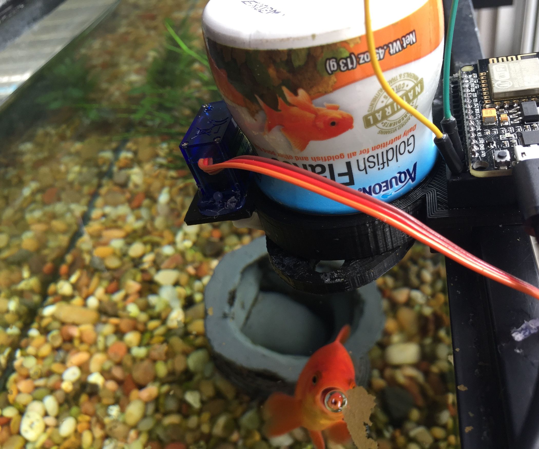 Feed Your Fish Flakes From Anywhere! 7 Steps (with Pictures