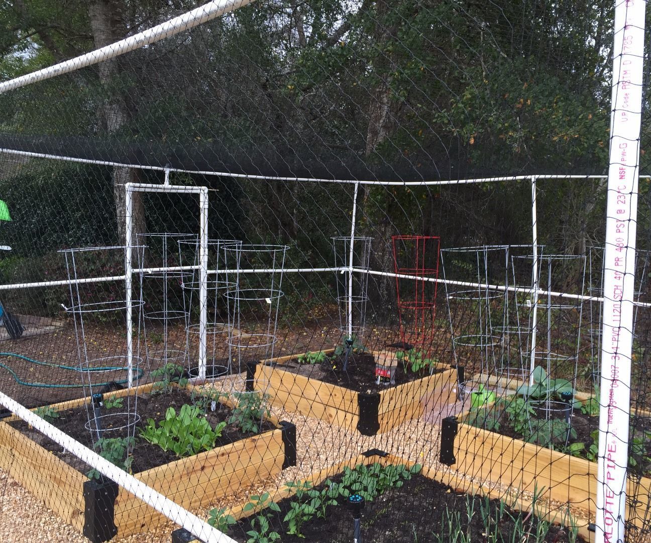 Save the Veggies!!! (a Simple Solution)