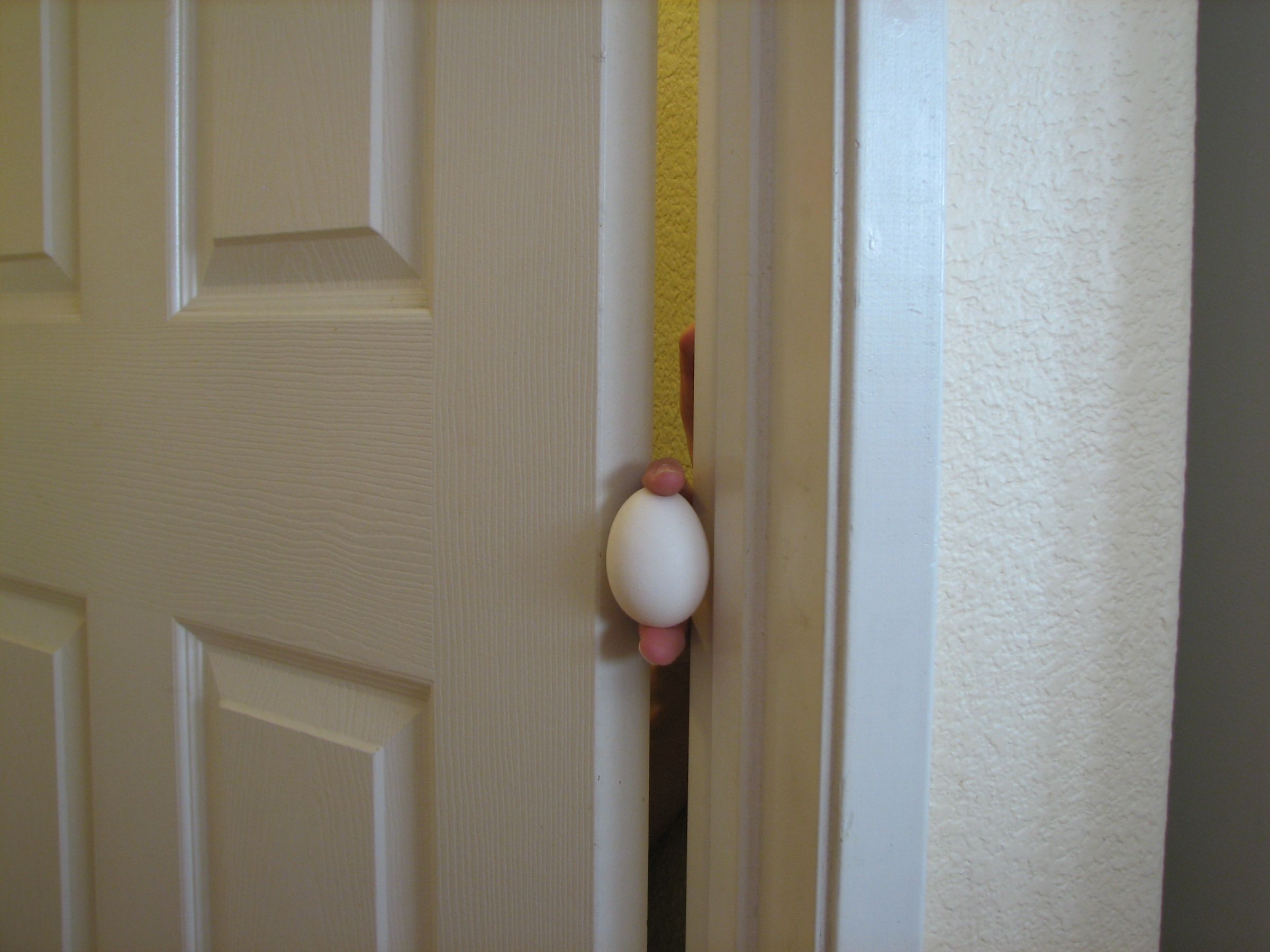 Egg Prank 3 Steps Instructables