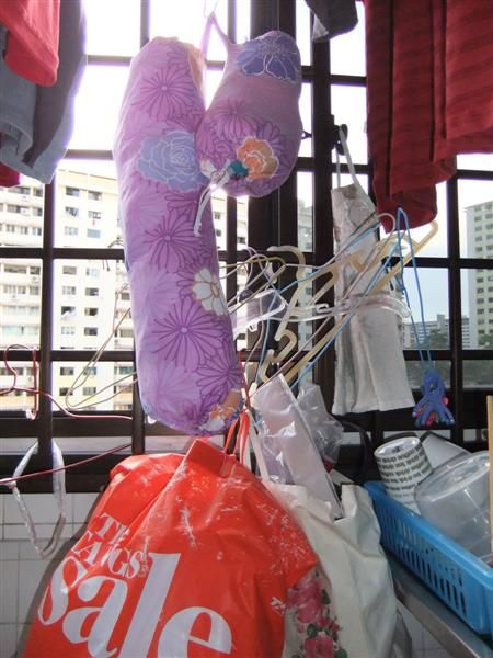Plastic Bag Dispenser (made of cloth)