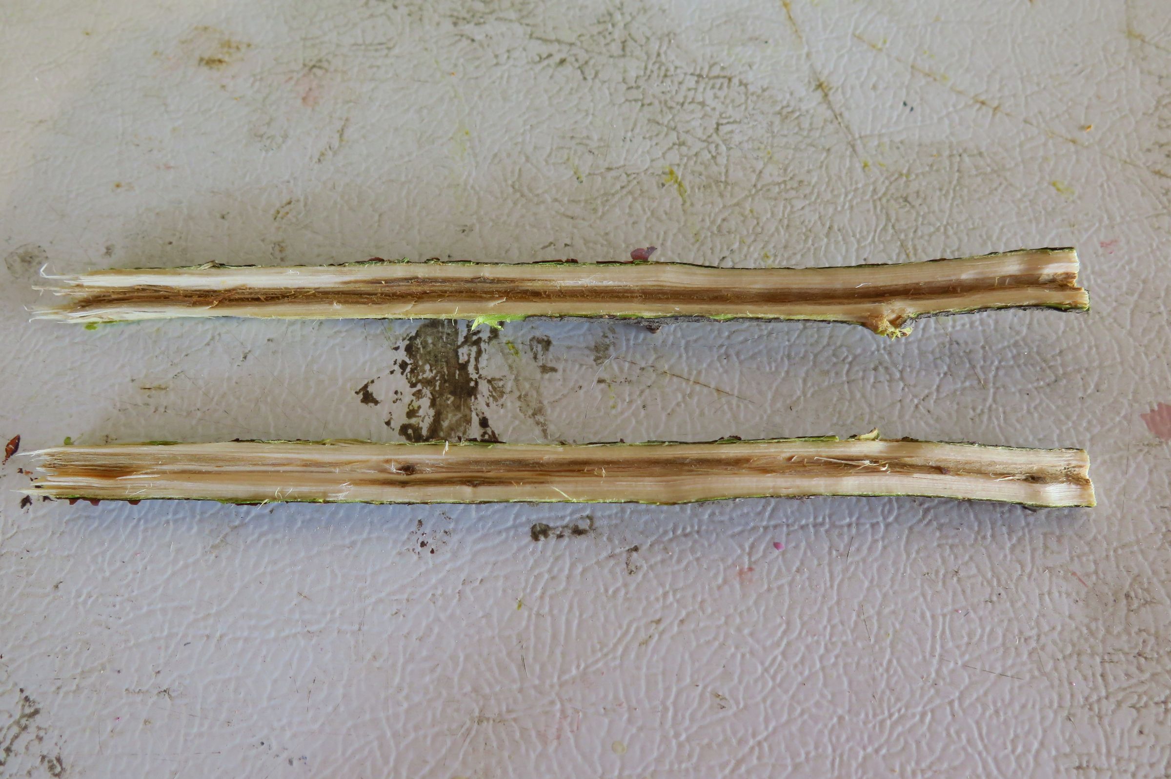 Awesome Tree Branch Pipe 9 Steps Instructables