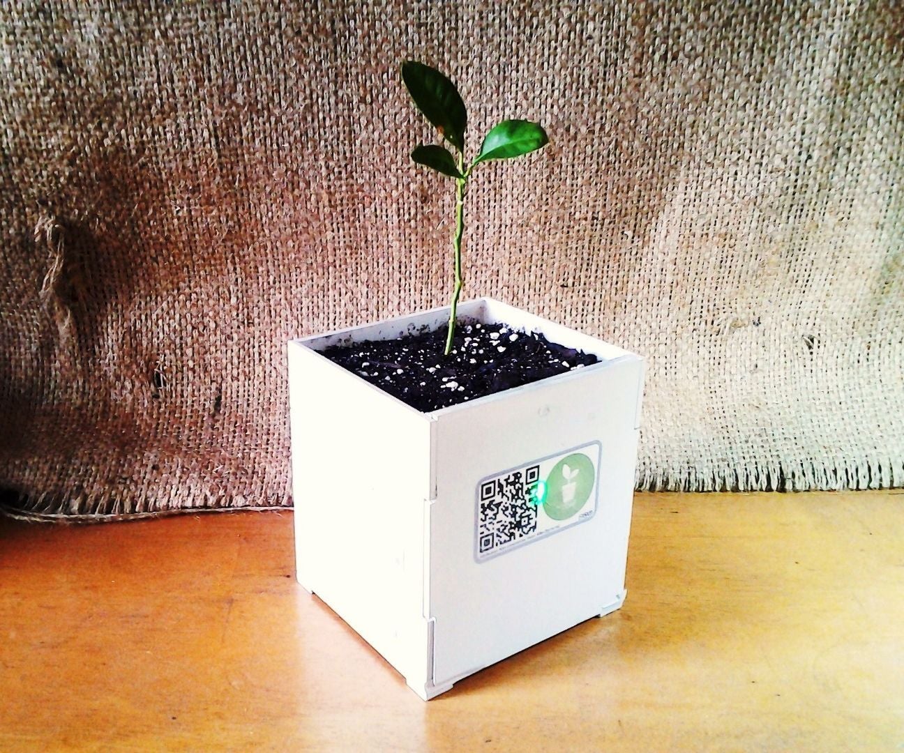 DIY Smart Plant Pot 8 Steps (with Pictures) Instructables