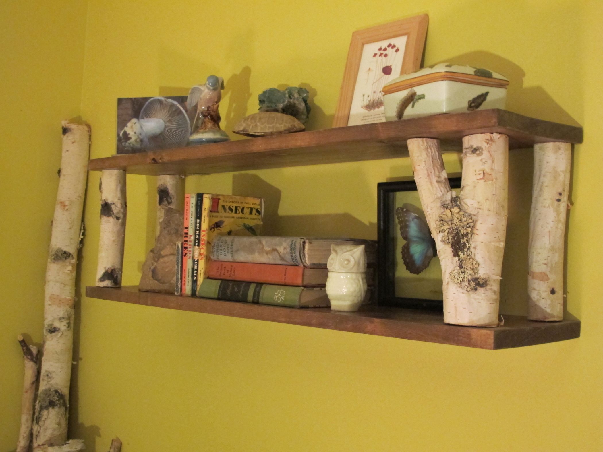 Simple Birch Limb Wall Shelf Instructables