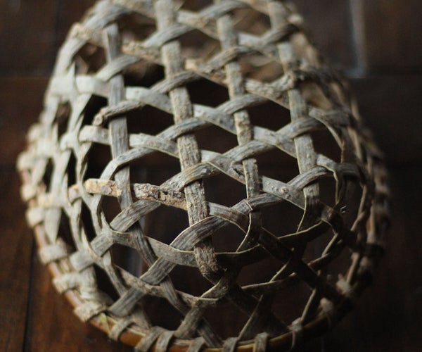 Harvesting Bark From Downed Trees for Baskets