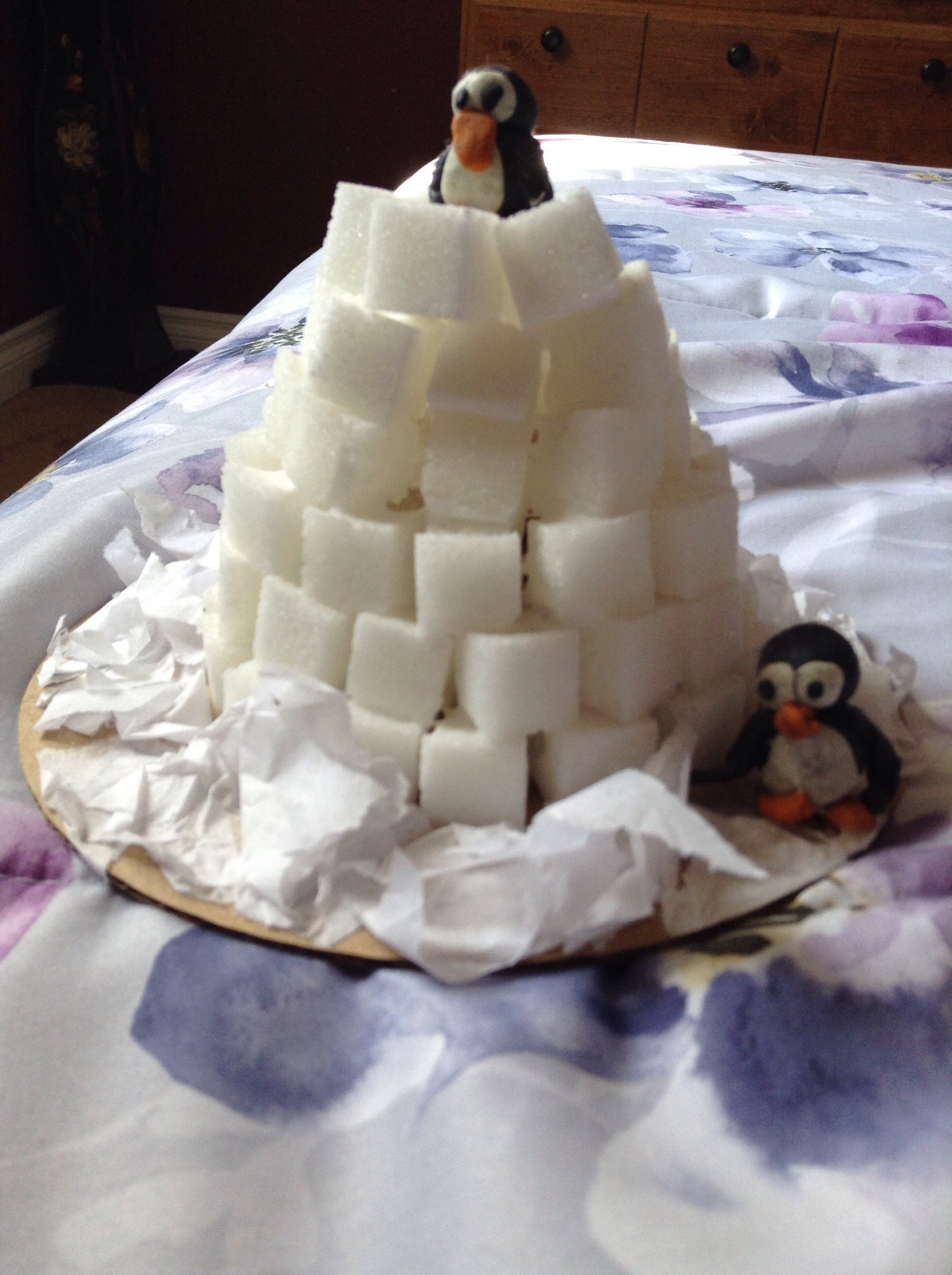 Diy Sugarcube Igloo 6 Steps Instructables